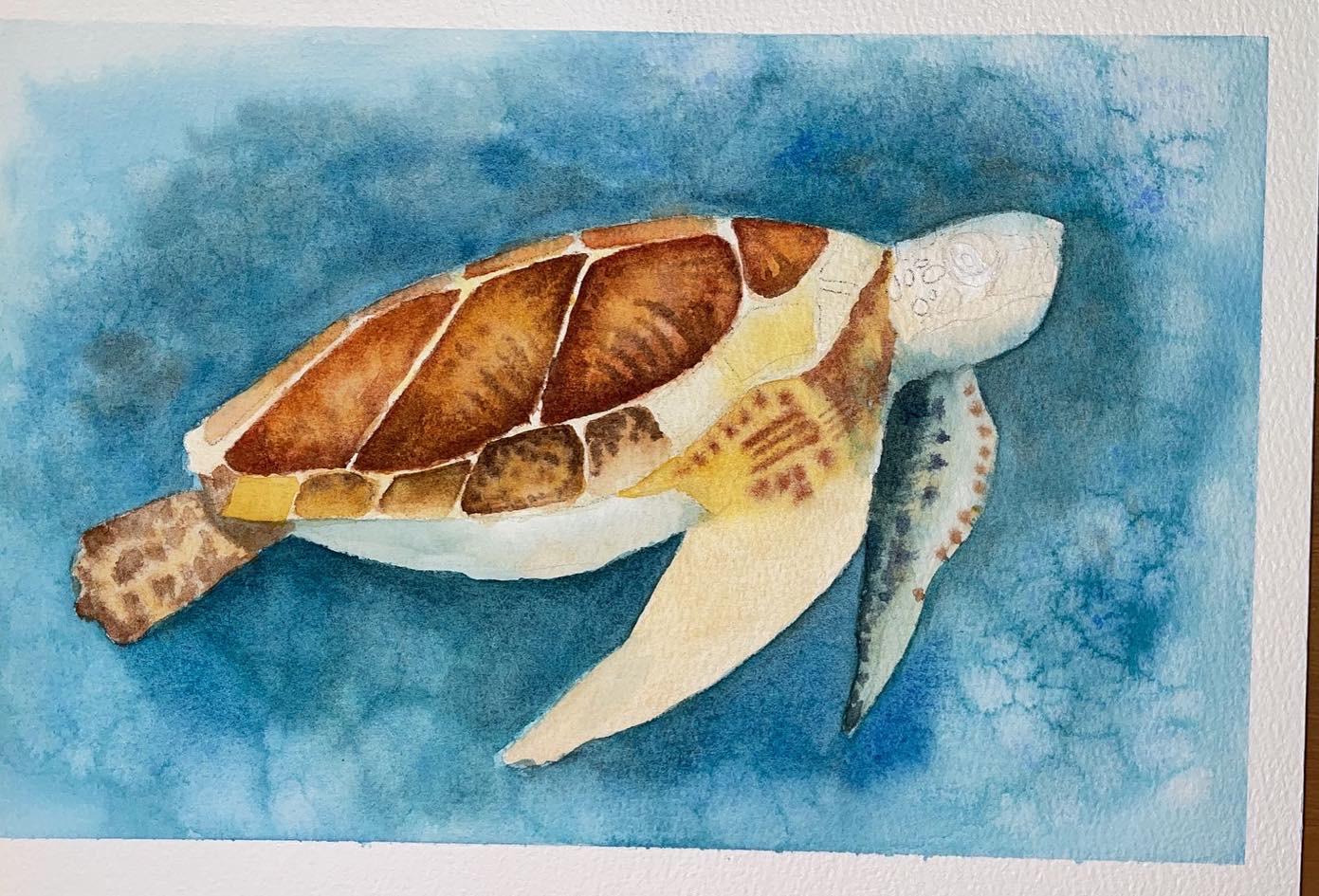 Sea Turtle watercolor - image 2 - student project