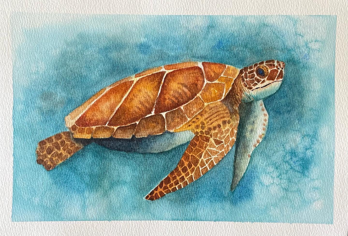 Sea Turtle watercolor - image 1 - student project