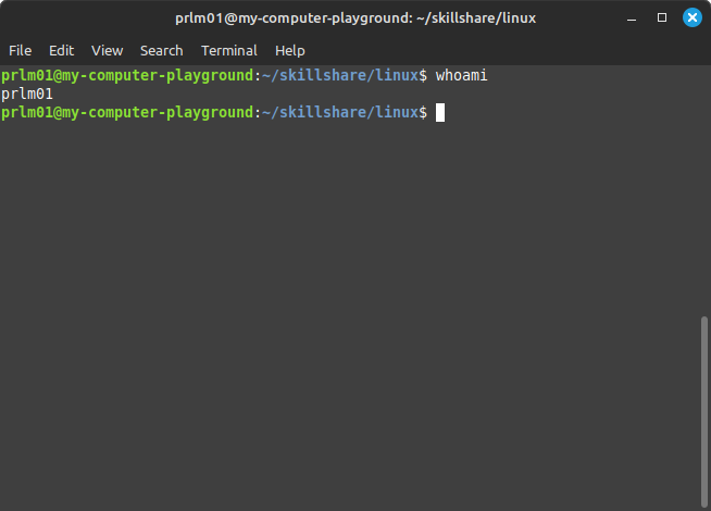 Linux Essentials - image 13 - student project