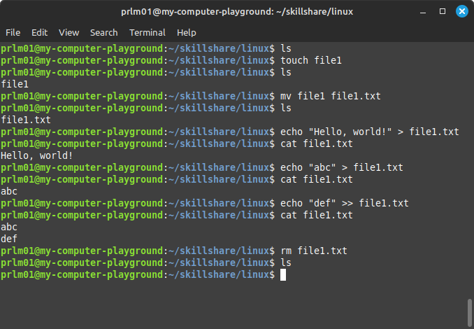 Linux Essentials - image 16 - student project