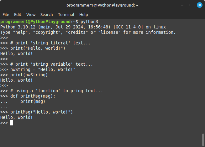 Beginners Programming: Python3 - Project 01 - image 9 - student project