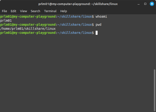 Linux Essentials - image 14 - student project