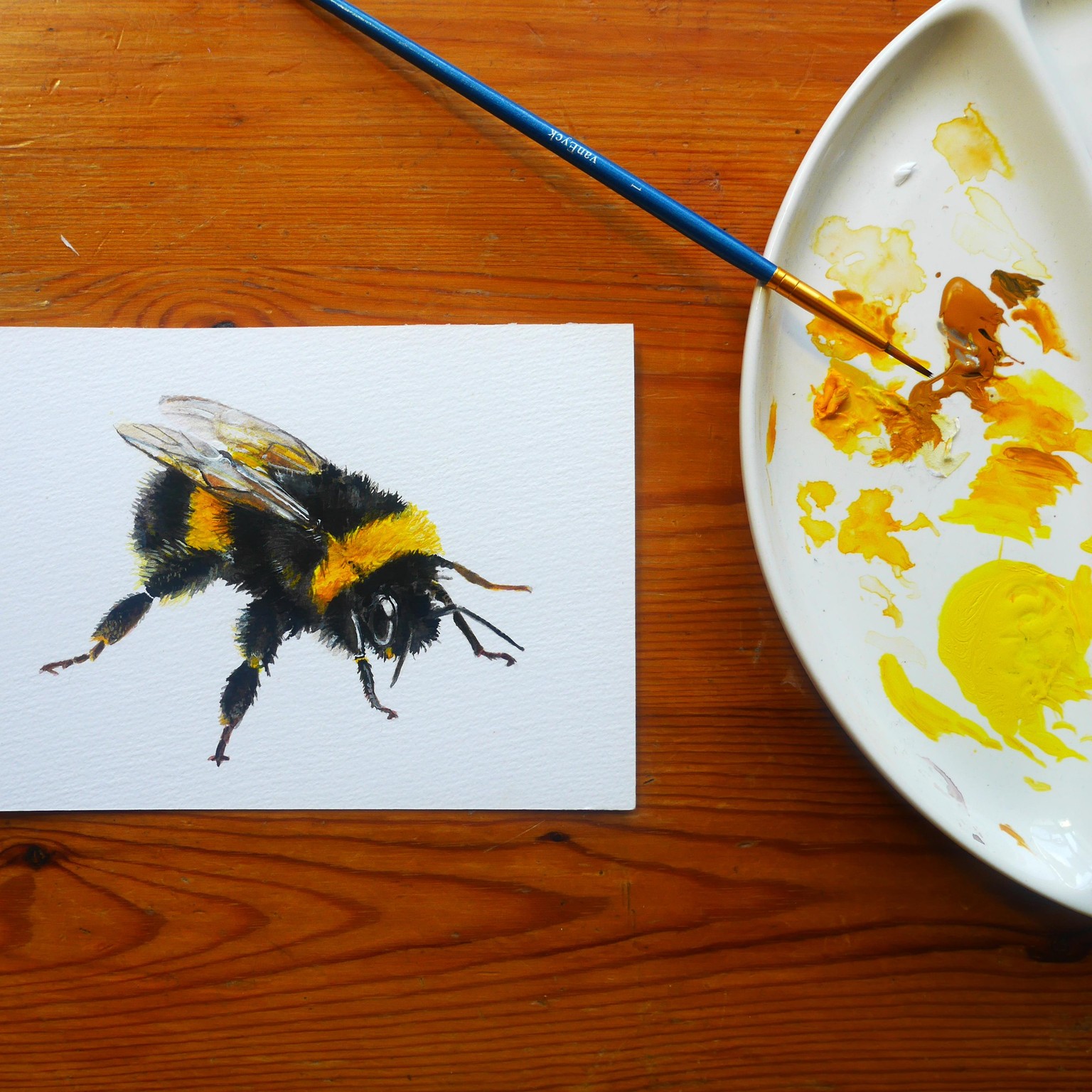 Bumble bee in gouache - image 1 - student project