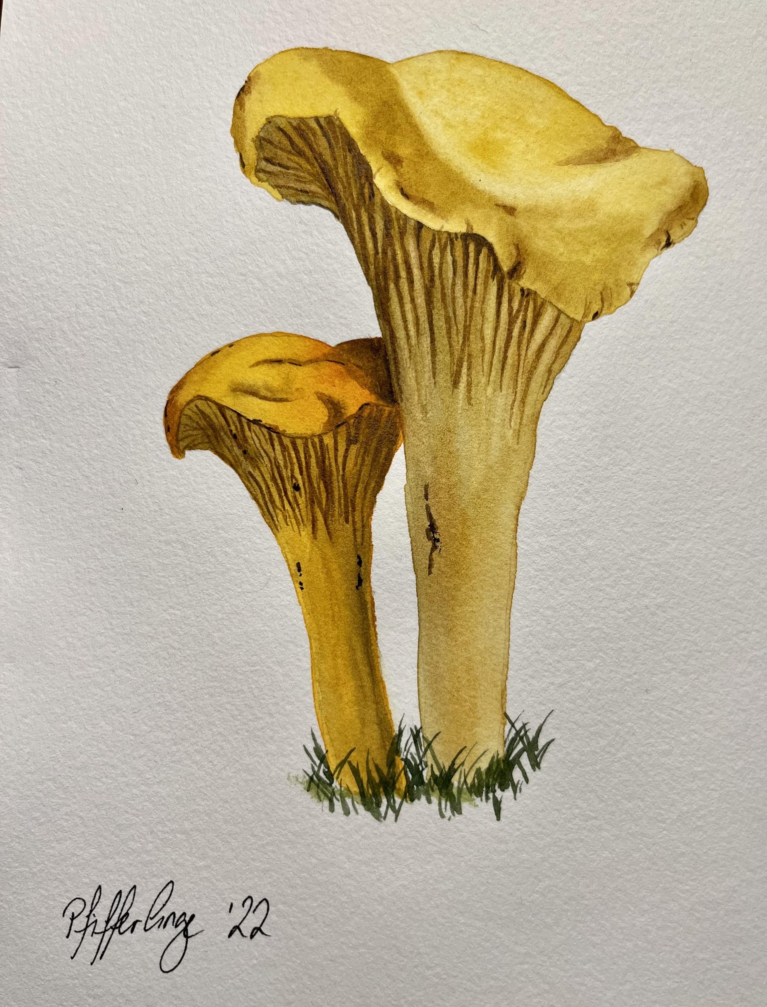 12 Days of Autumn - image 10 - student project
