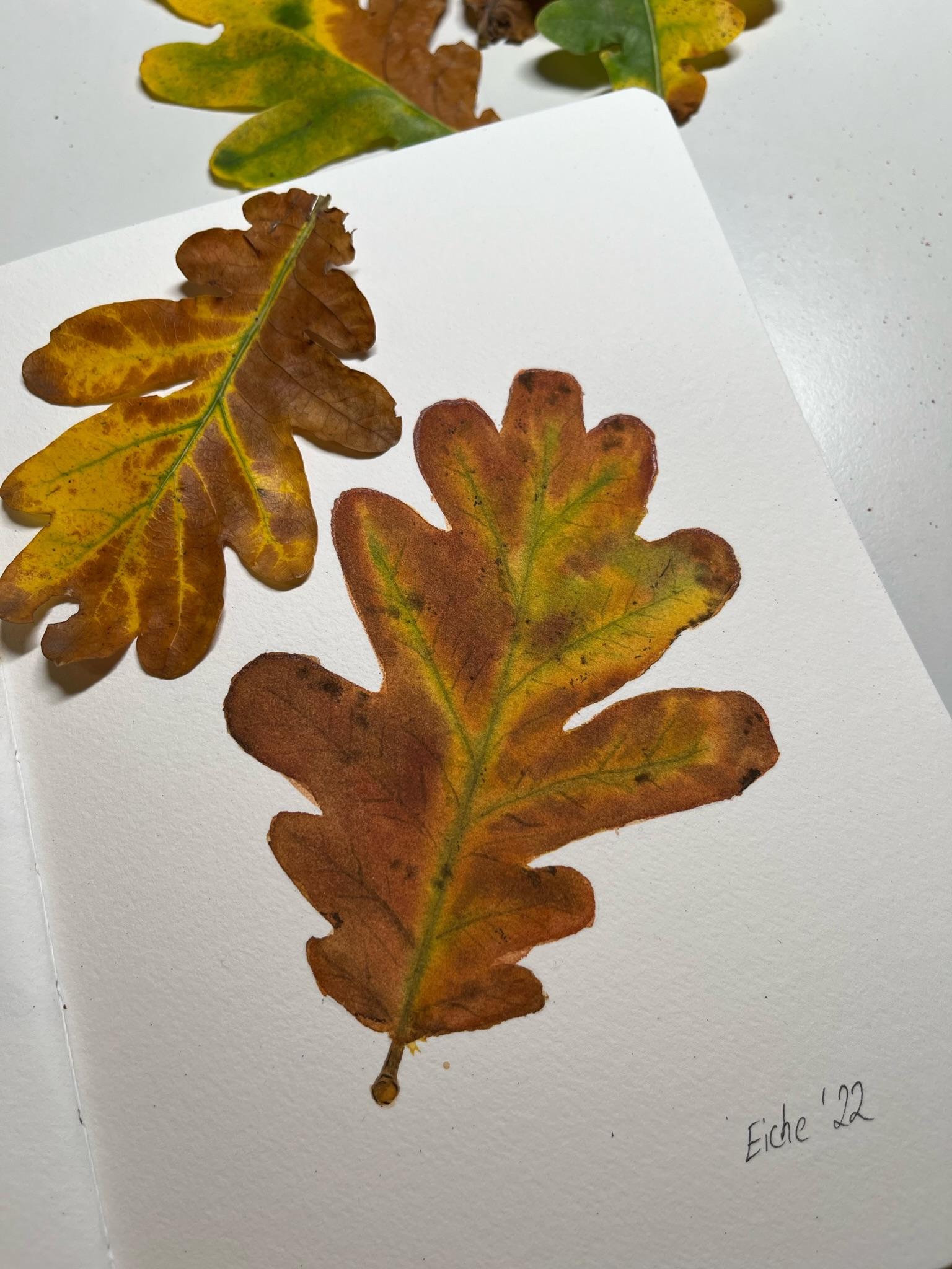 12 Days of Autumn - image 3 - student project