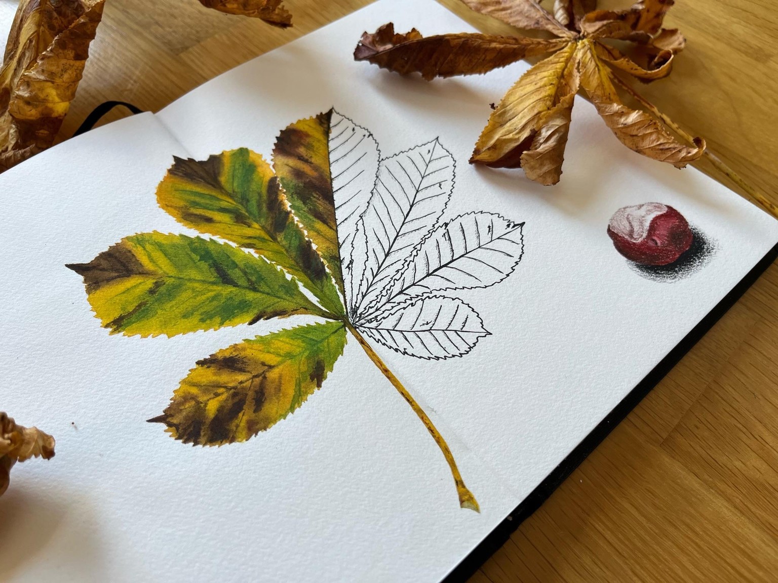 12 Days of Autumn - image 6 - student project