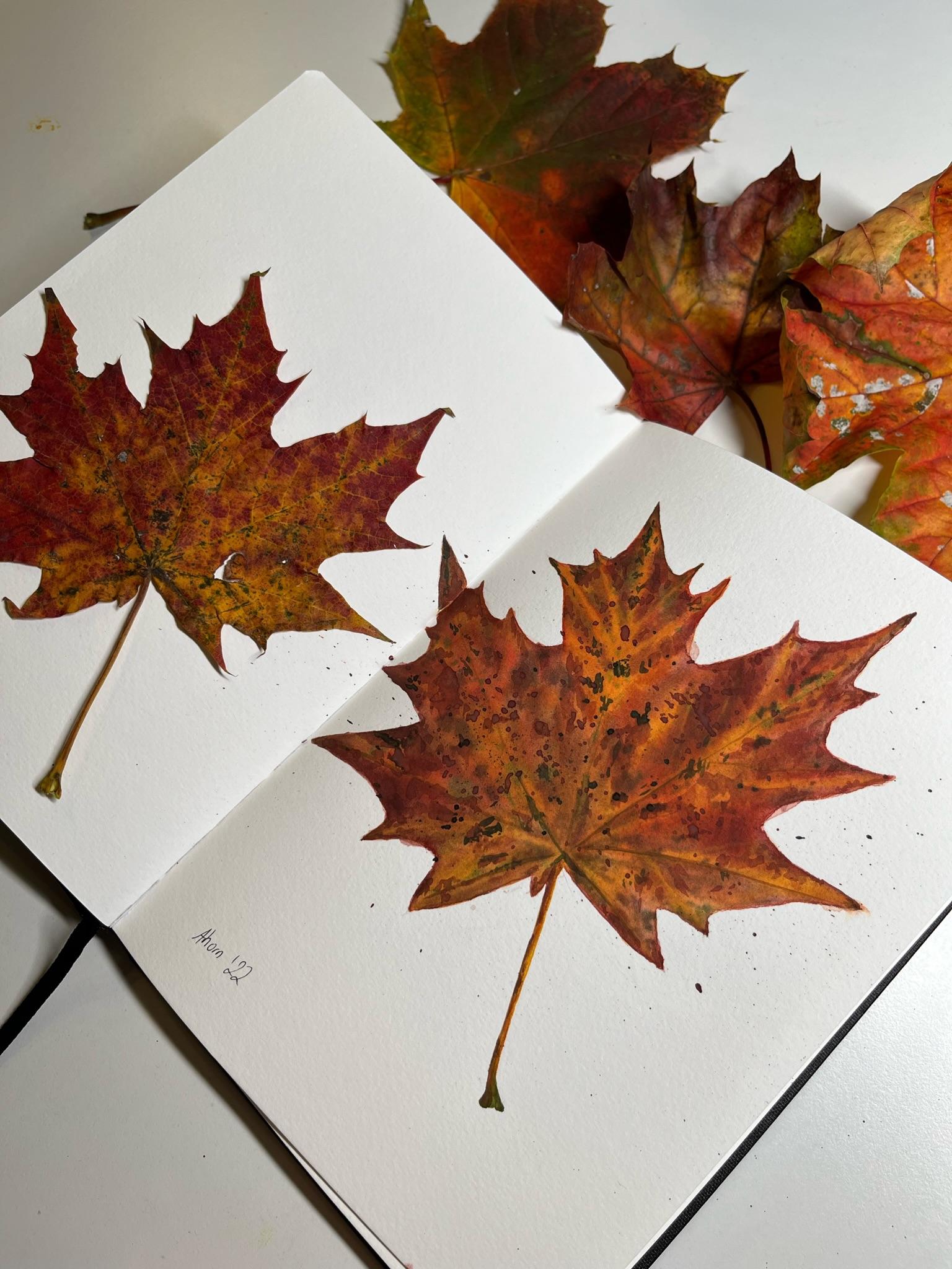 12 Days of Autumn - image 5 - student project