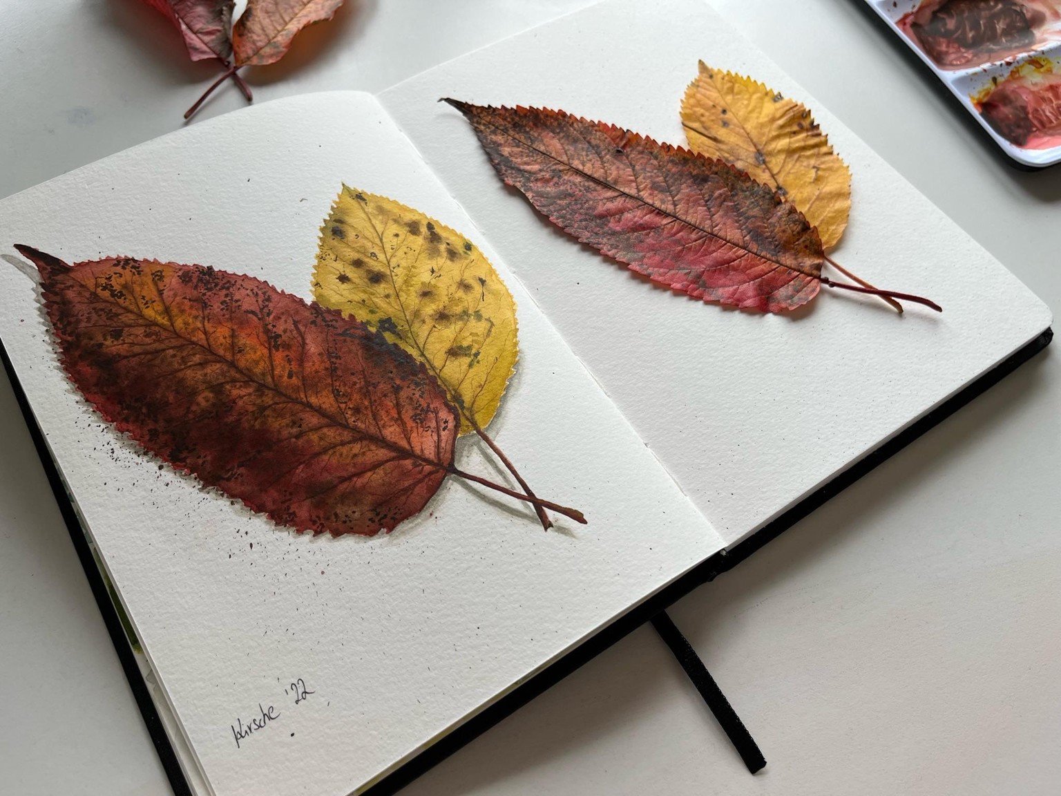 12 Days of Autumn - image 1 - student project