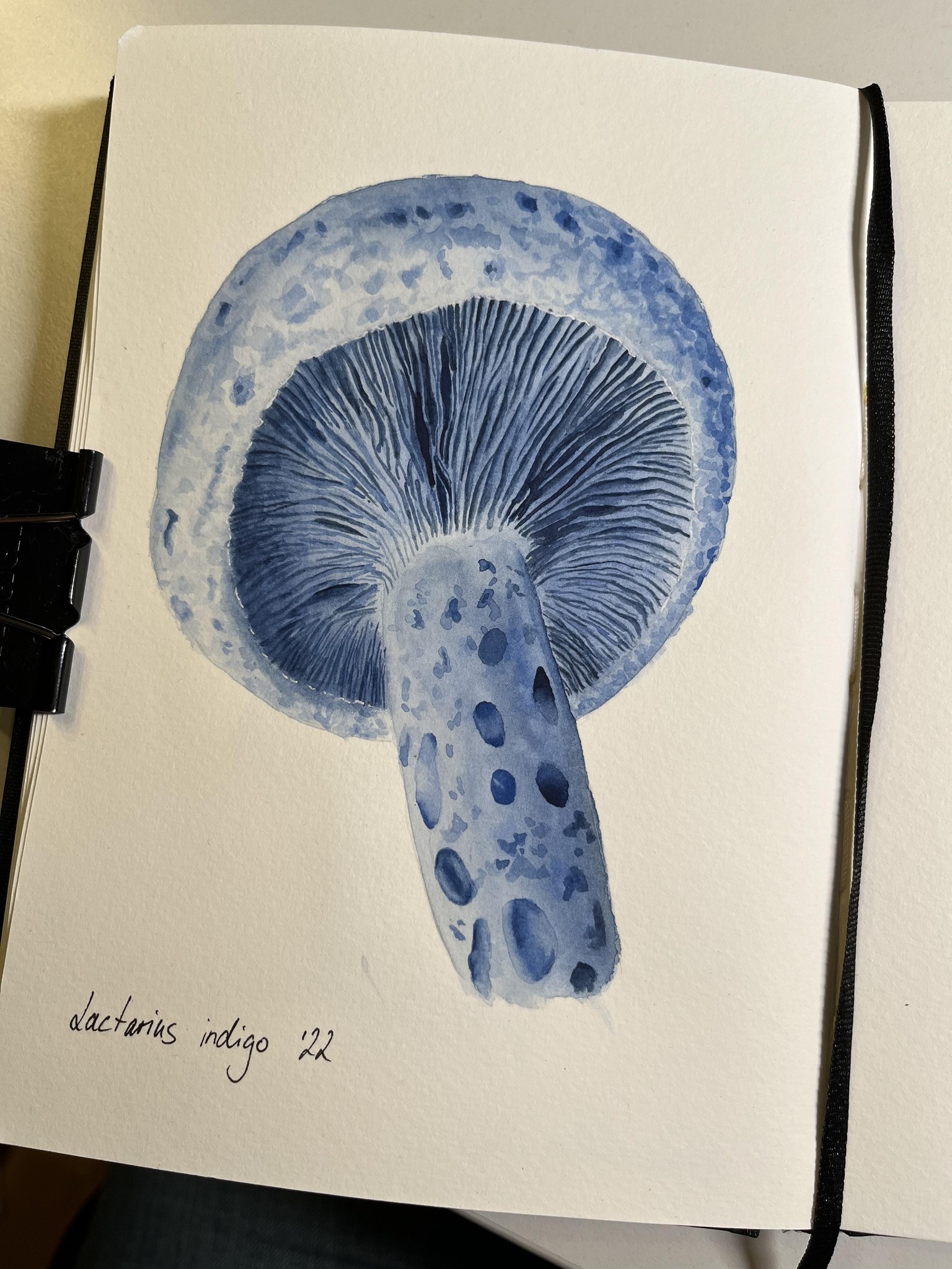 12 Days of Autumn - image 11 - student project