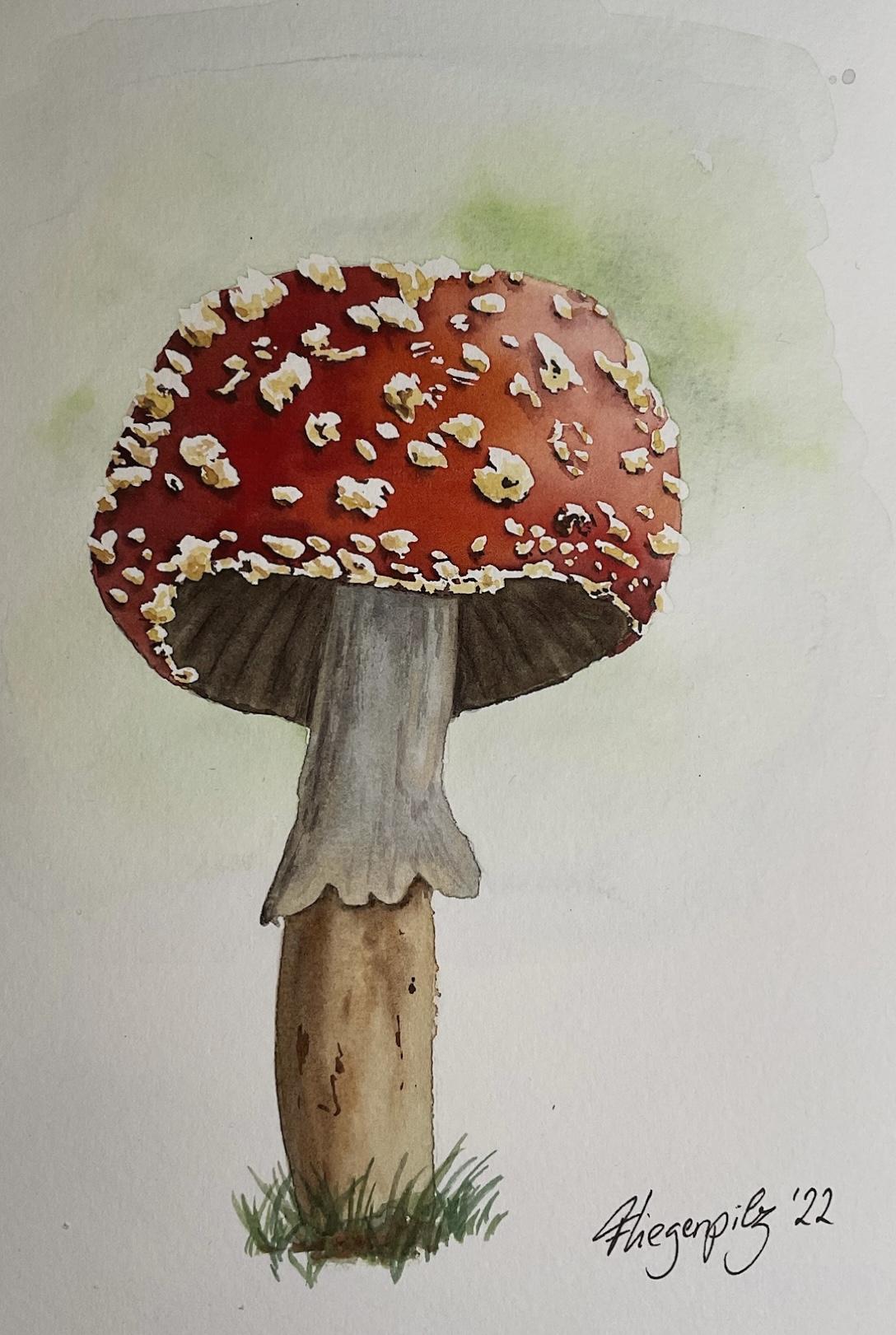 12 Days of Autumn - image 12 - student project