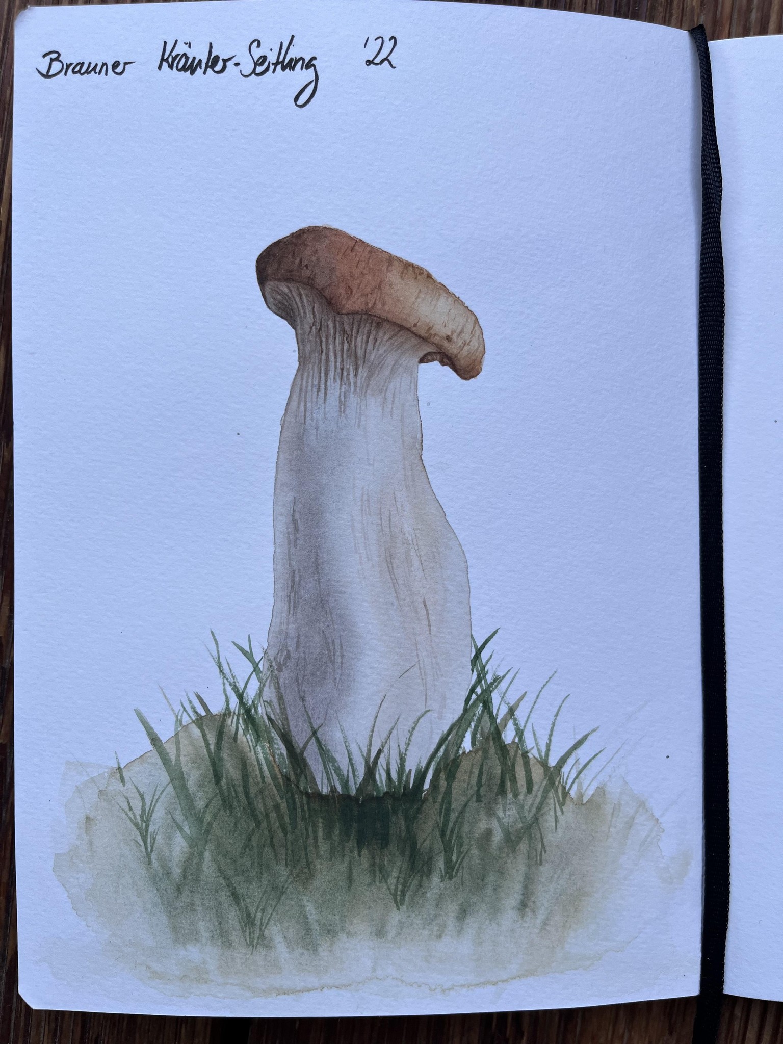 12 Days of Autumn - image 7 - student project