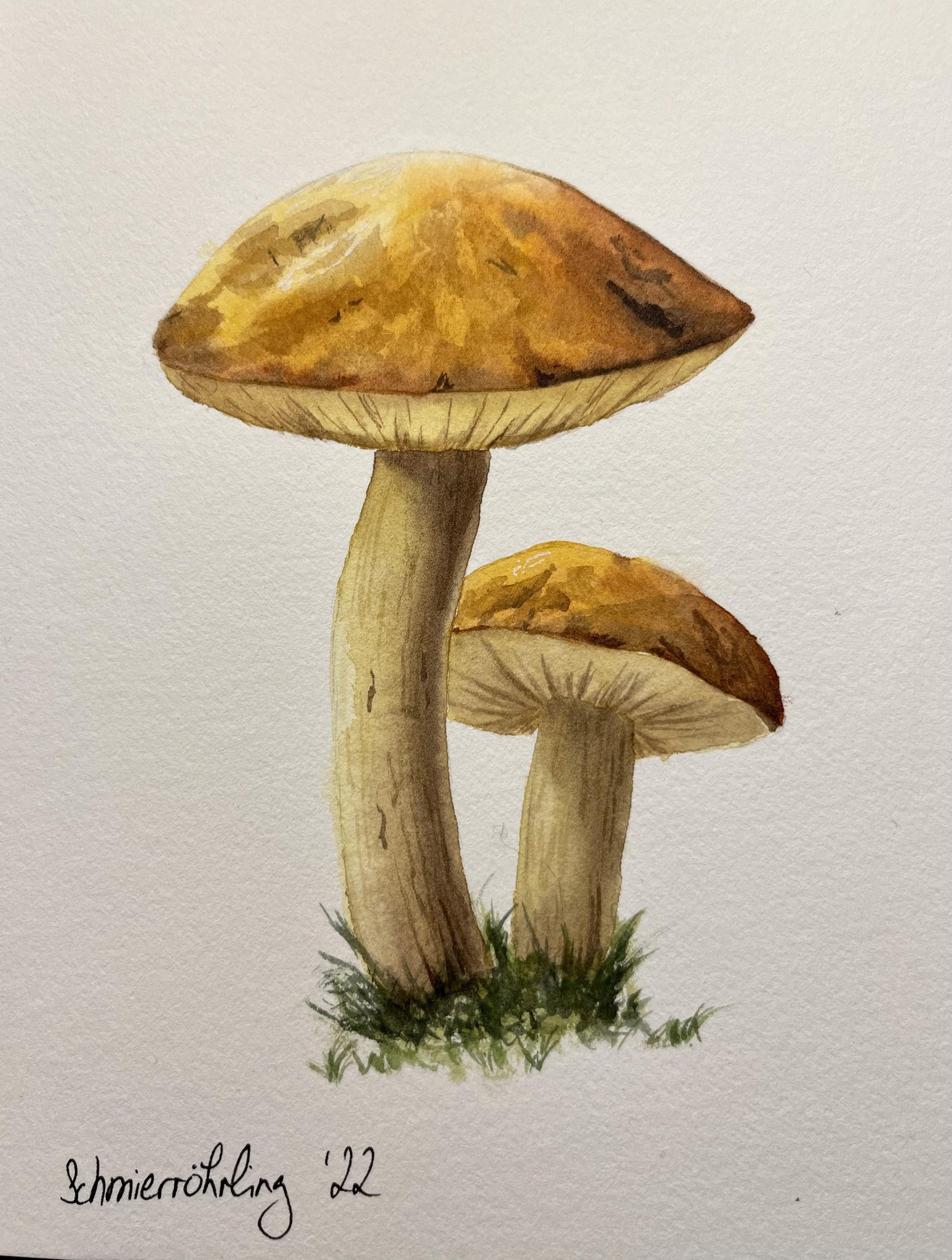 12 Days of Autumn - image 9 - student project