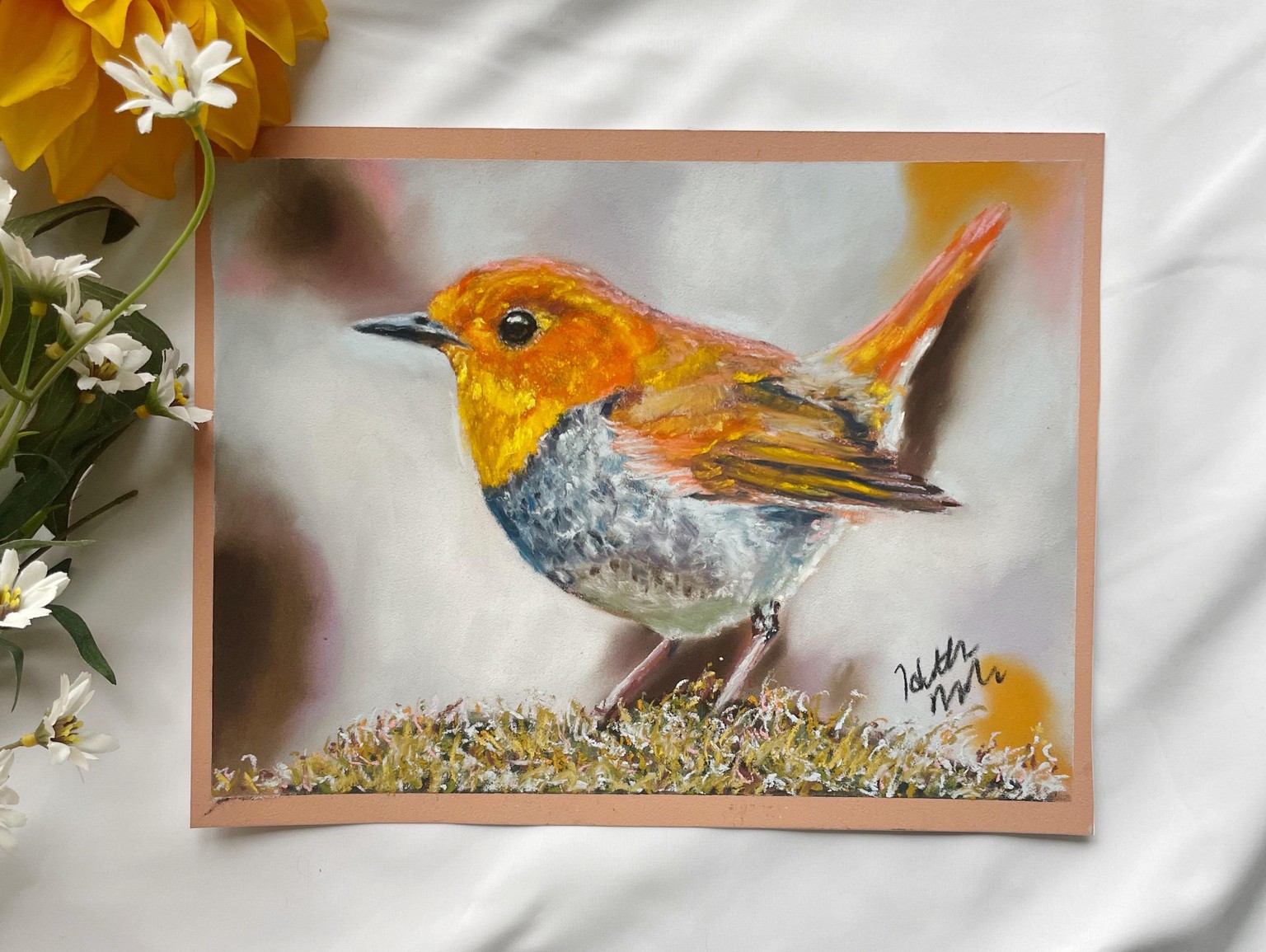 Fluffy Robin in pastel - image 1 - student project