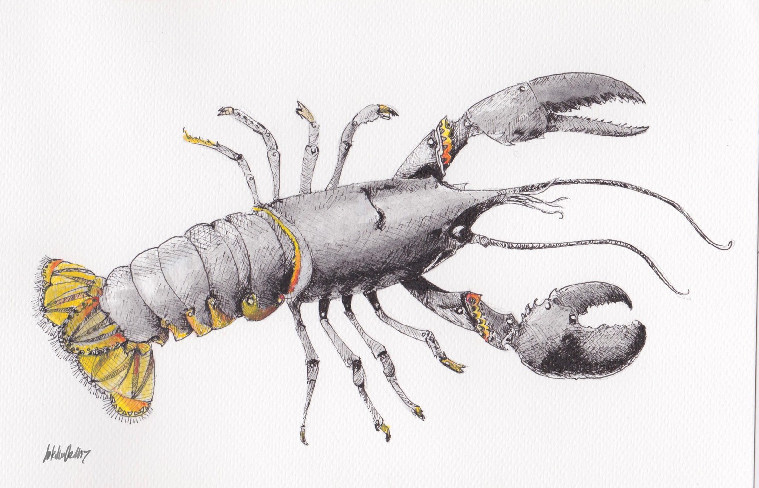 Lobster - image 1 - student project
