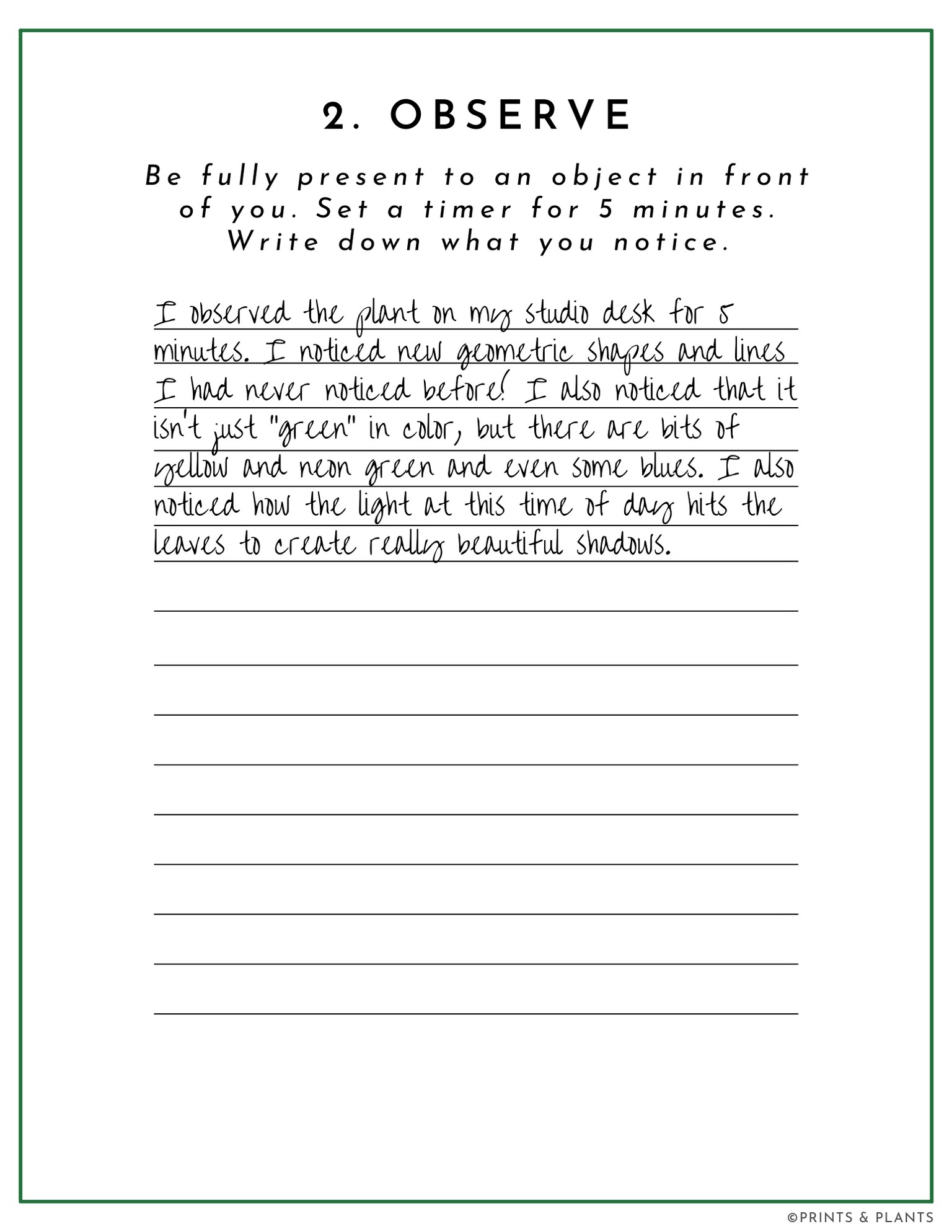 Field Guide Example: Wide-Eyed Wonder - image 3 - student project
