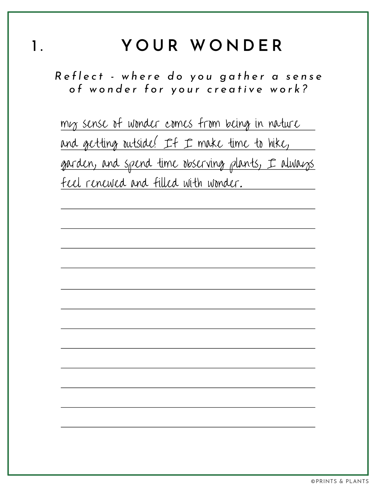 Field Guide Example: Wide-Eyed Wonder - image 2 - student project