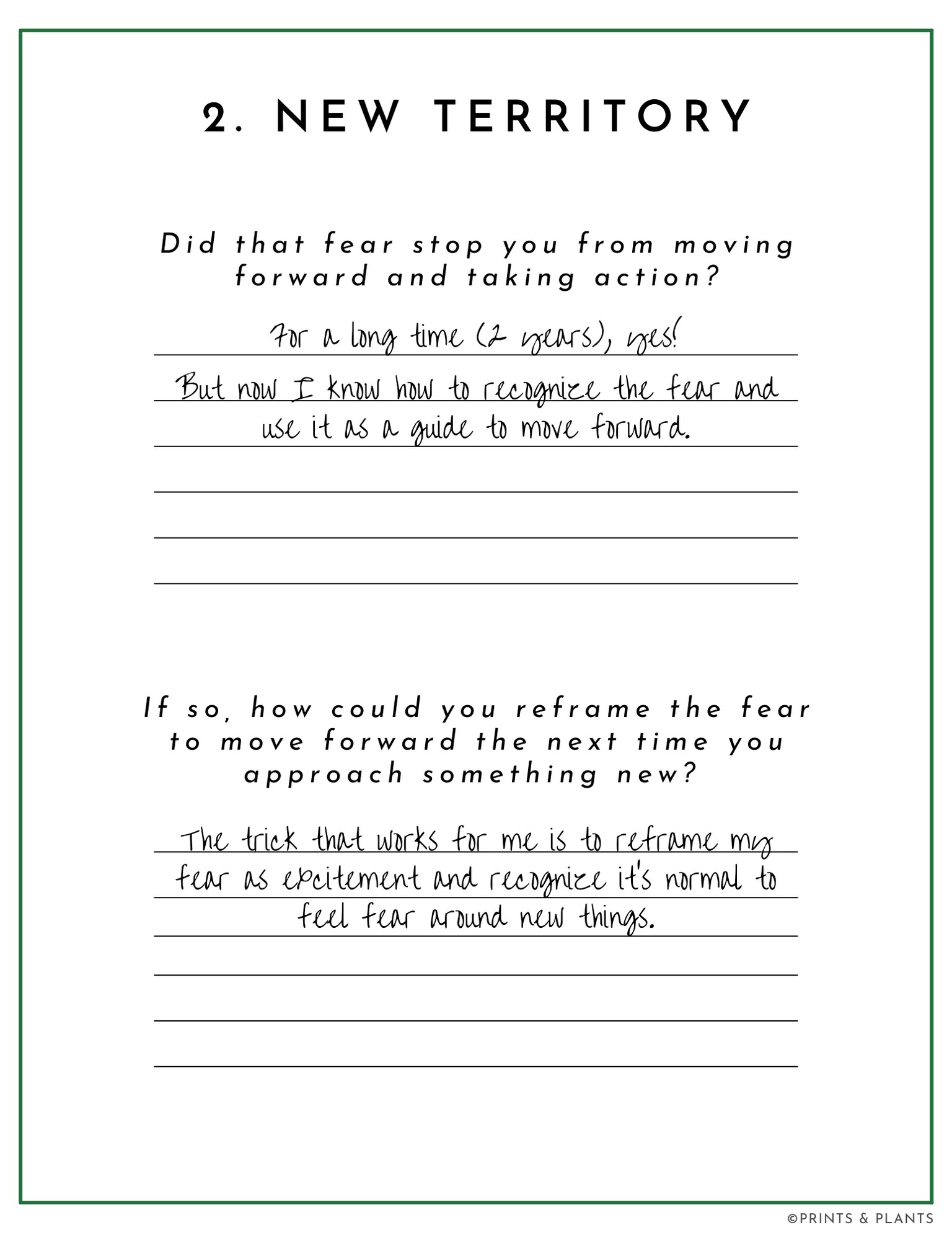 Class Project Example: Forest of Fear Field Guide - image 5 - student project