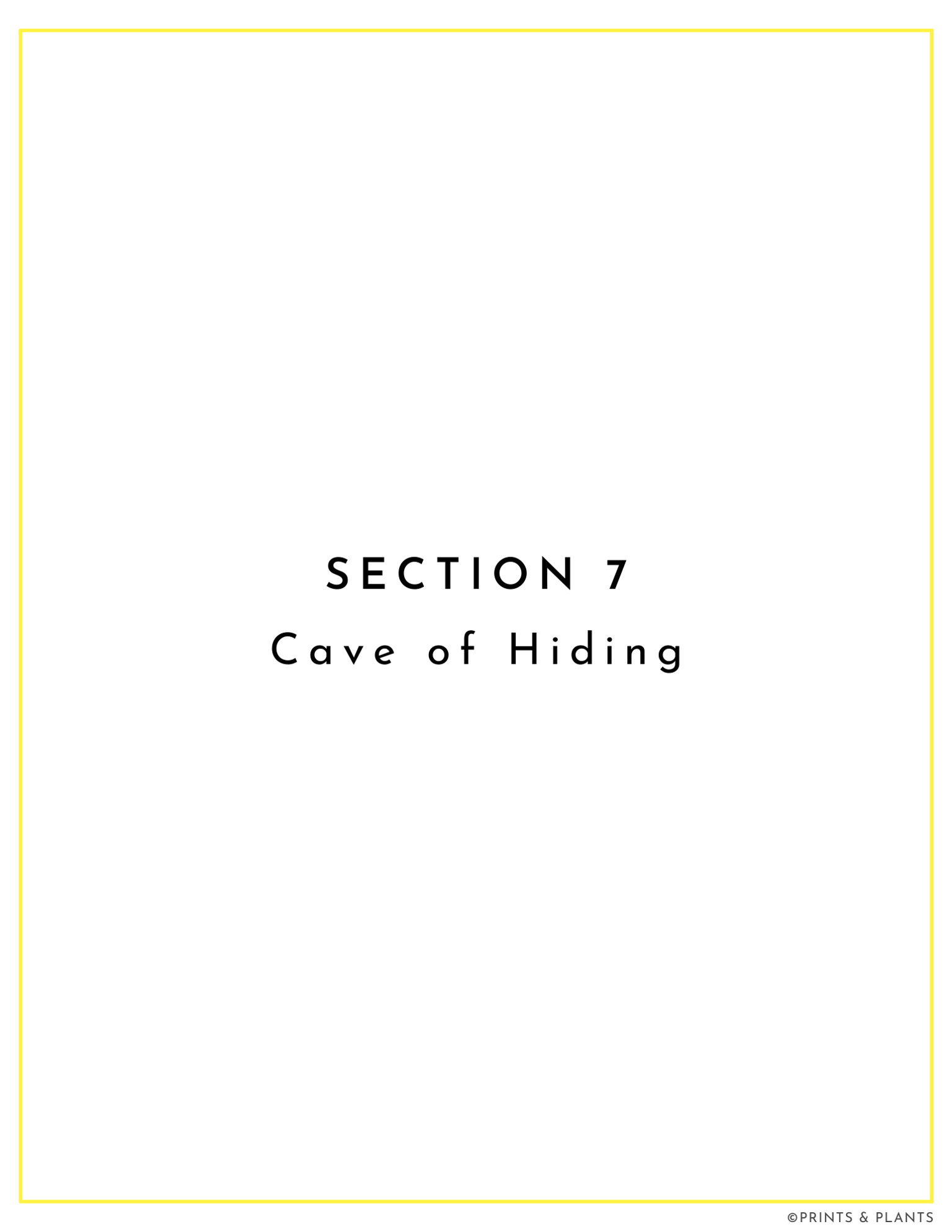 Field Guide: Cave of Hiding Example - image 1 - student project