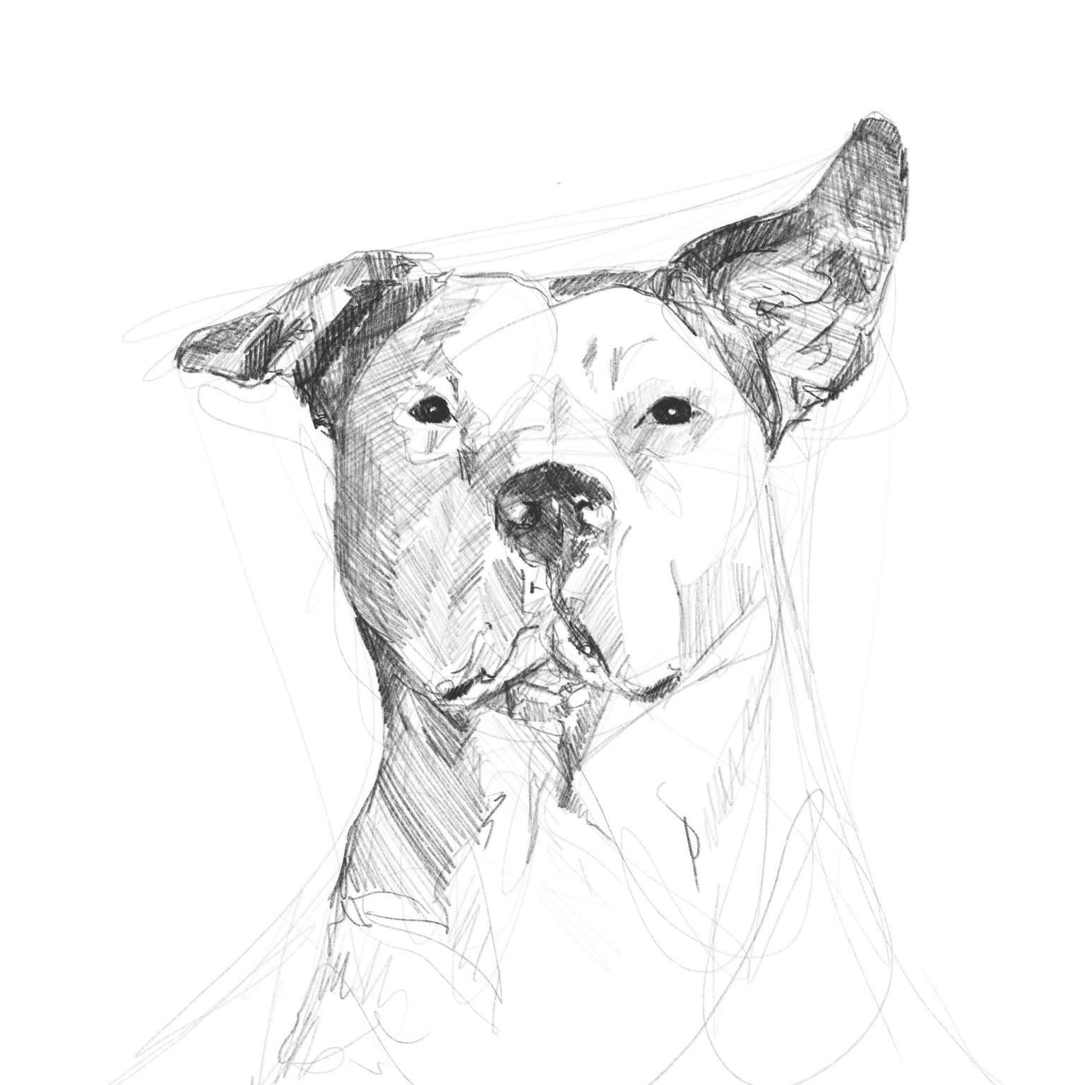 Bobby - image 1 - student project