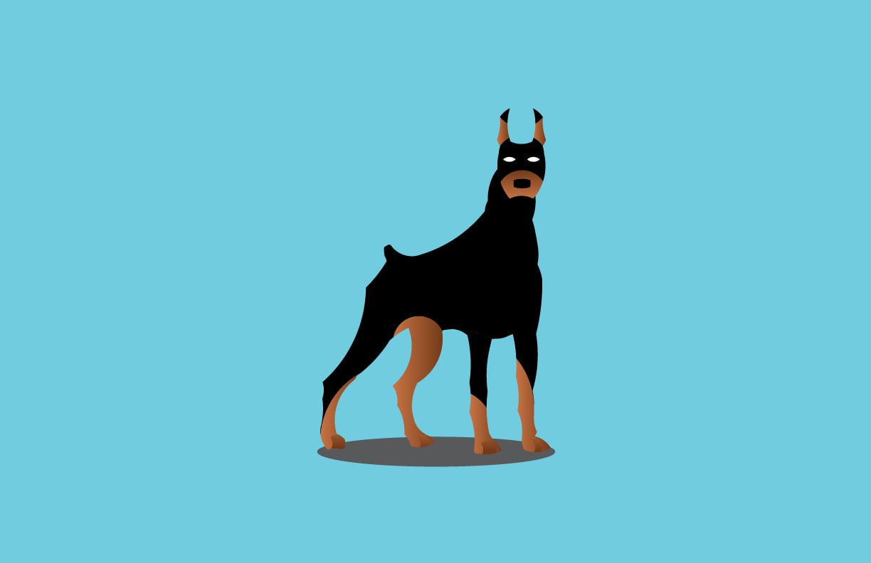 Doberman - image 1 - student project