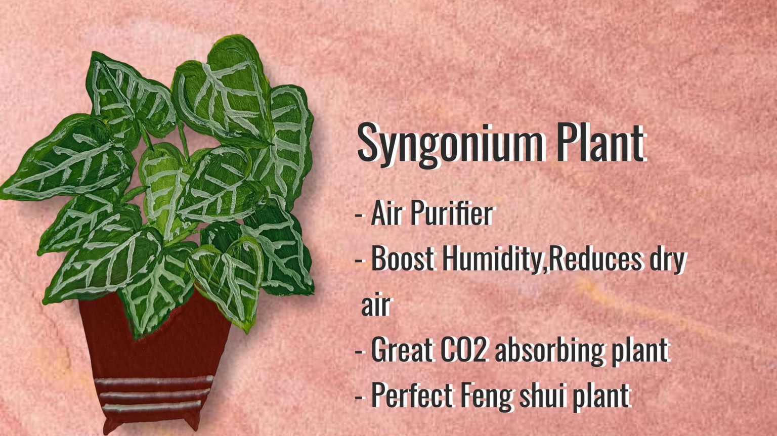 Gouache Painting: Indoor Plants - image 19 - student project