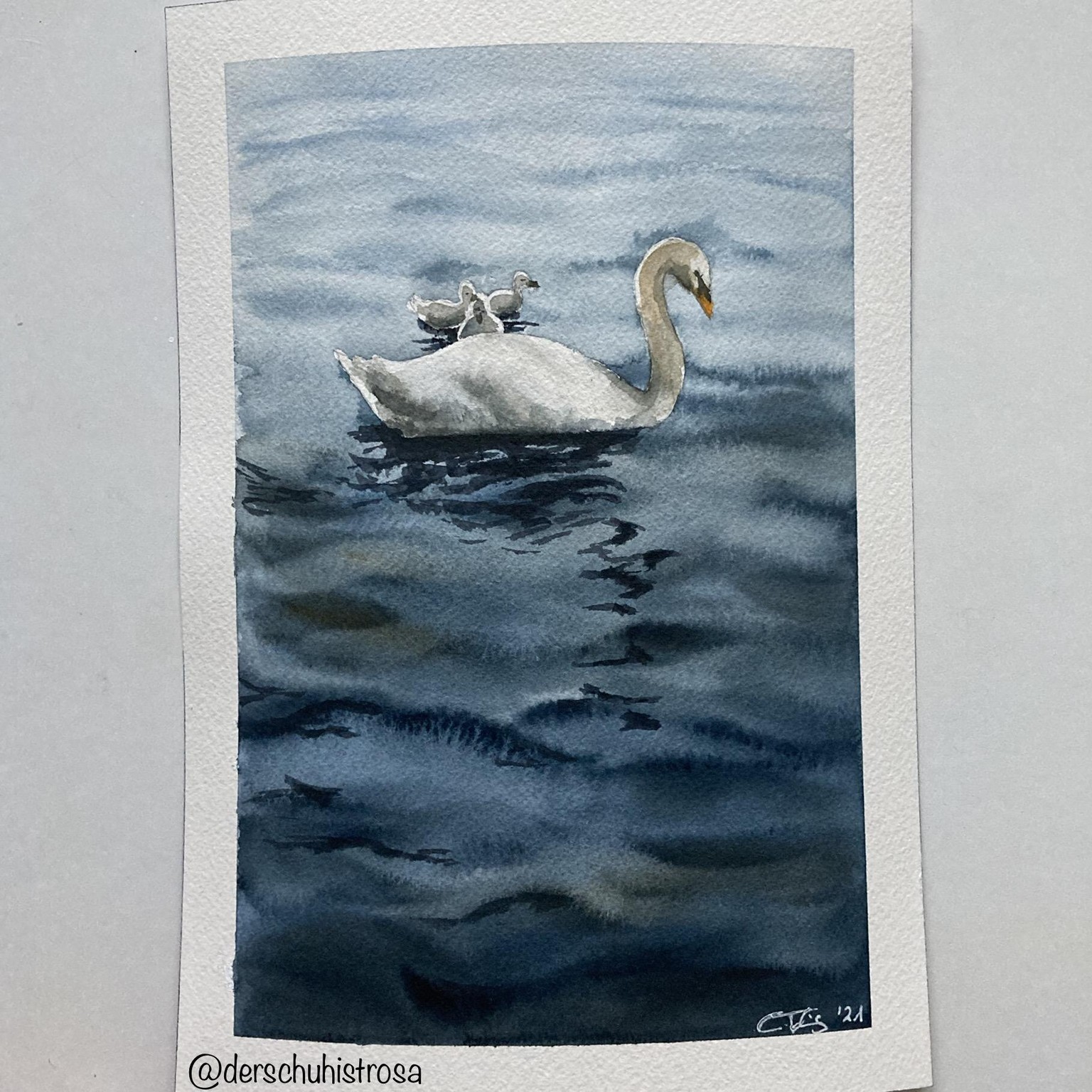 Swan Lake - image 1 - student project