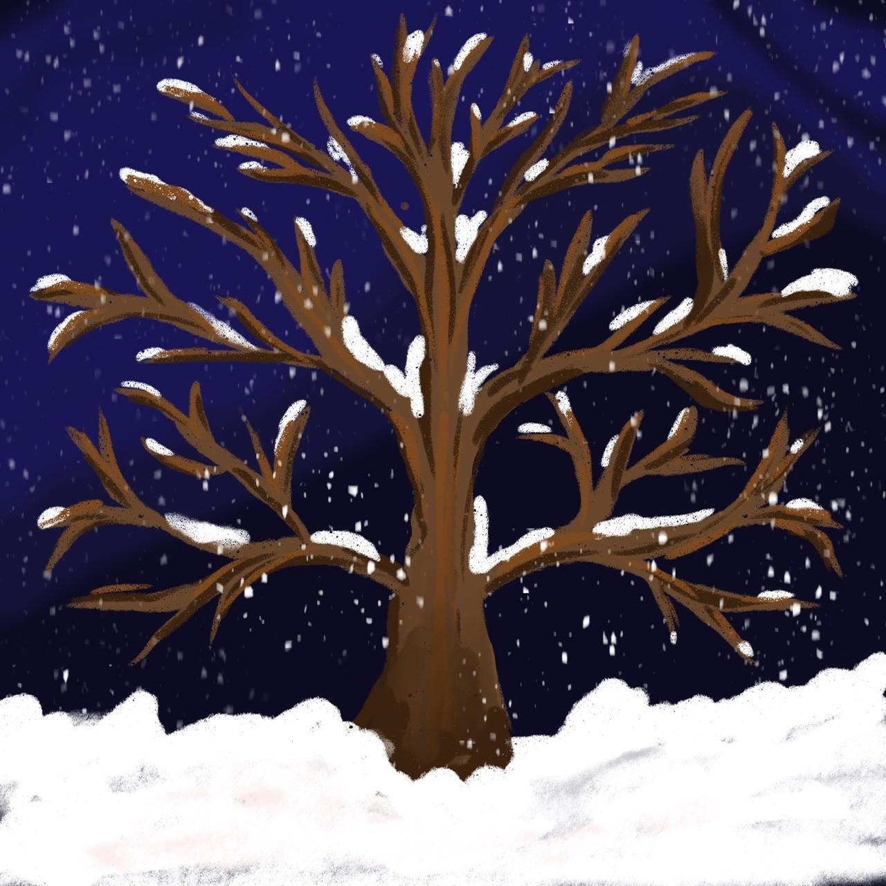 four weeks winter fun - image 3 - student project