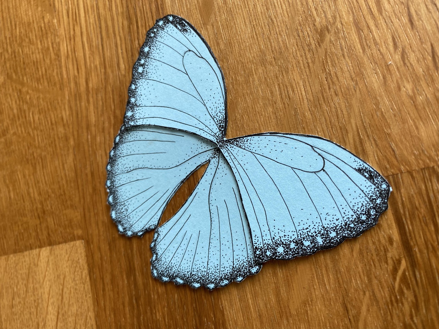 How To Make Butterflies - Mixed Media Butterfly Sculpture - Clay, Paper, Ink, Wa - image 1 - student project