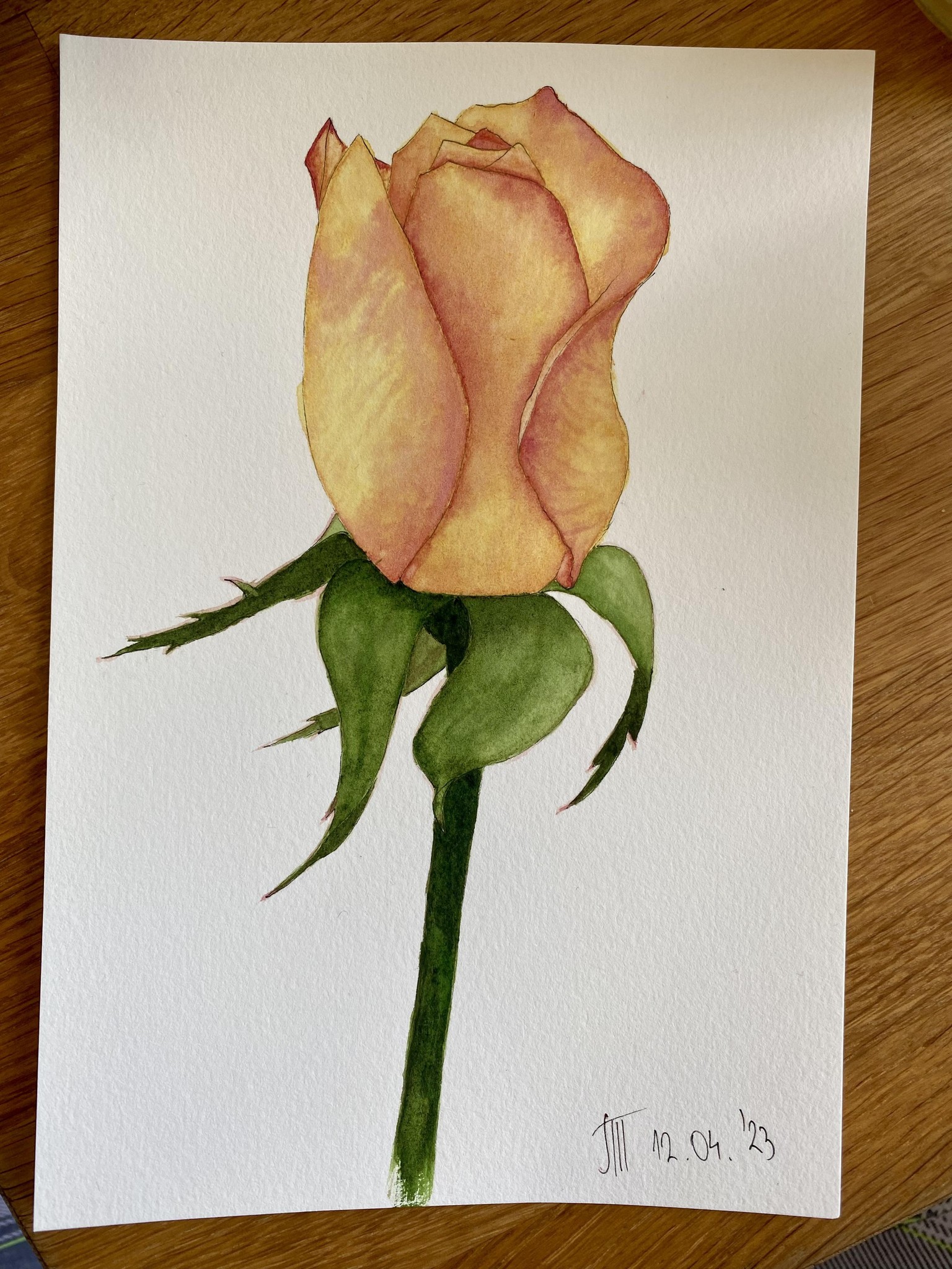 How to Draw and Paint Realistic Red Roses | Combining Ink and Watercolor | Botan - image 3 - student project