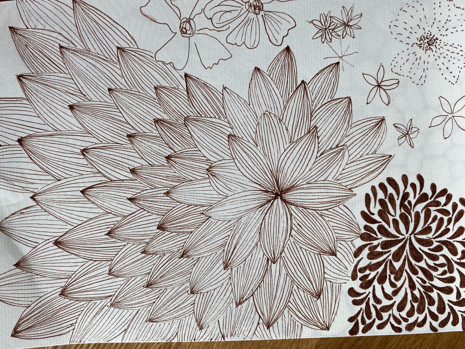 Daily Meditative Art Practice - image 3 - student project