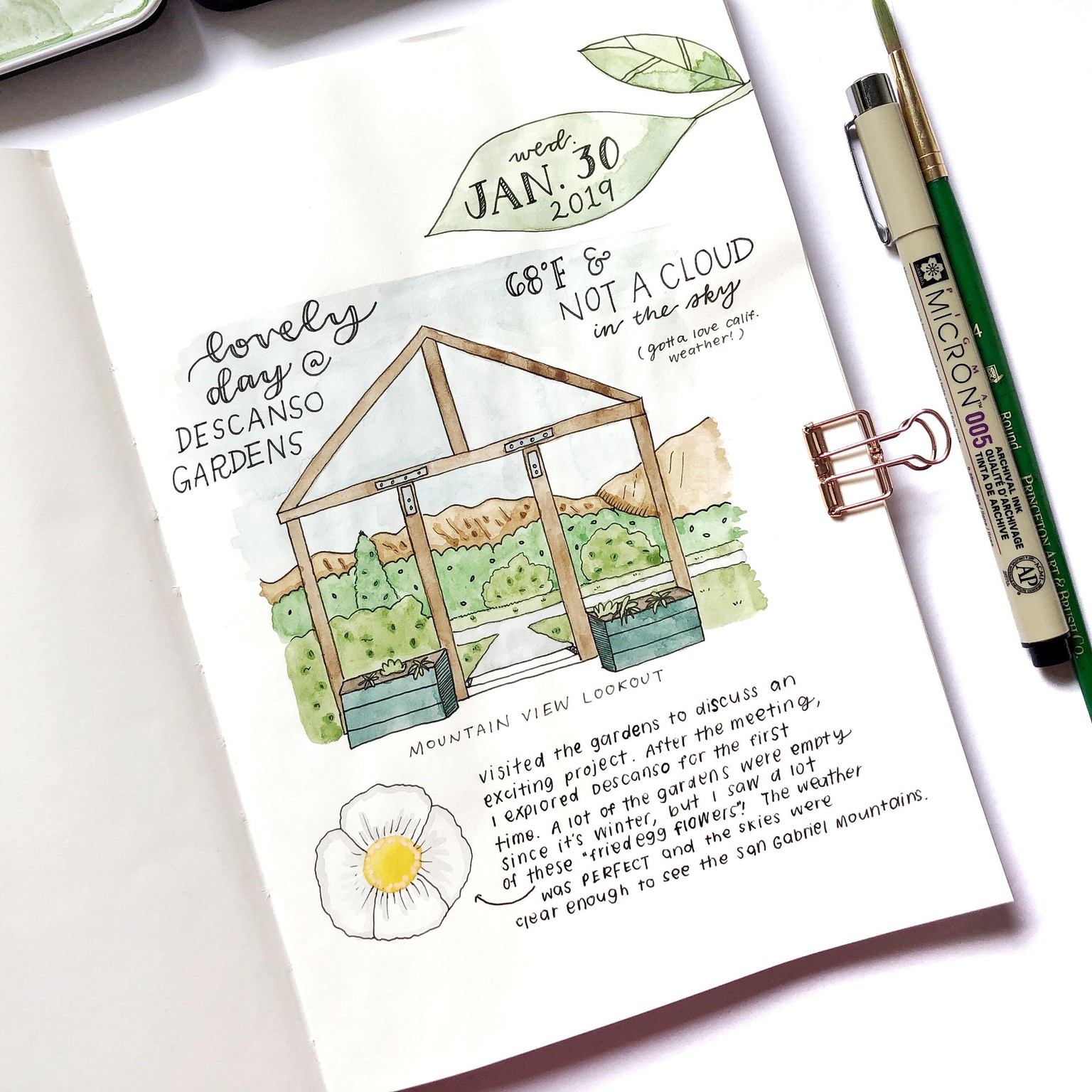 Doodled Day at the Gardens - image 6 - student project