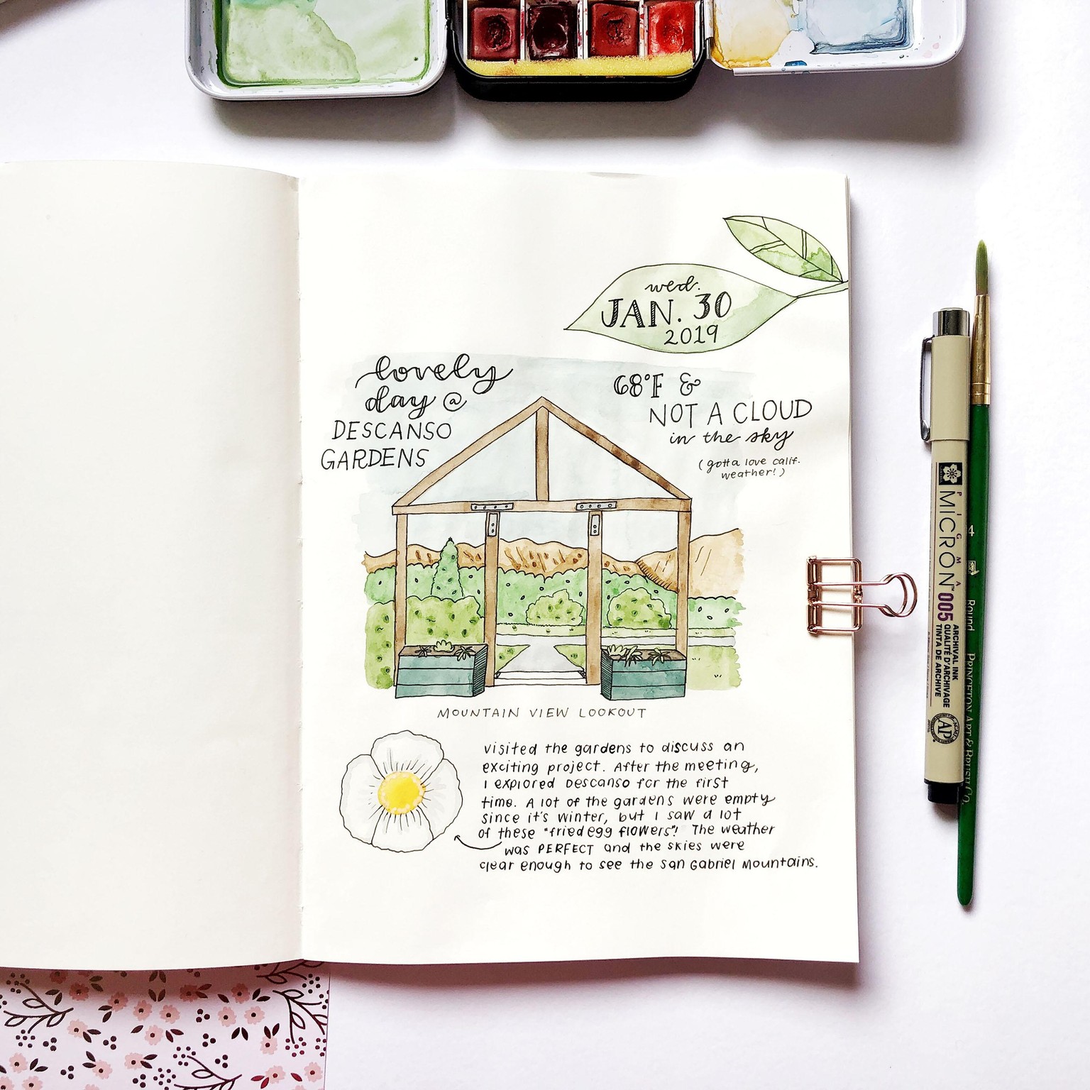 Doodled Day at the Gardens - image 5 - student project