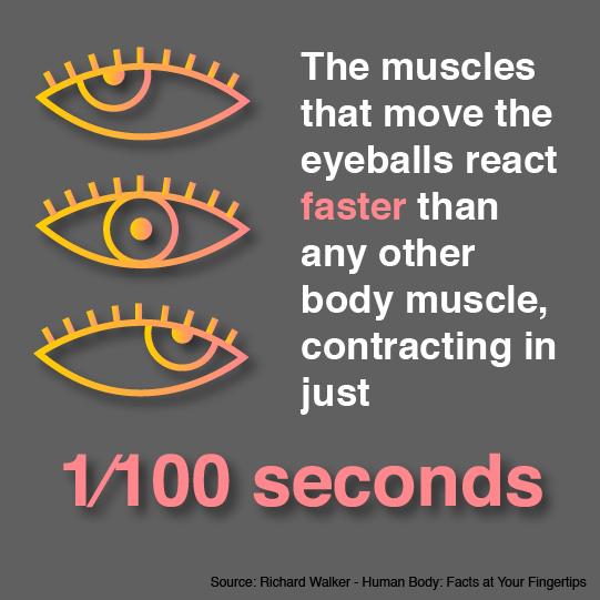 Infographic Design - image 2 - student project
