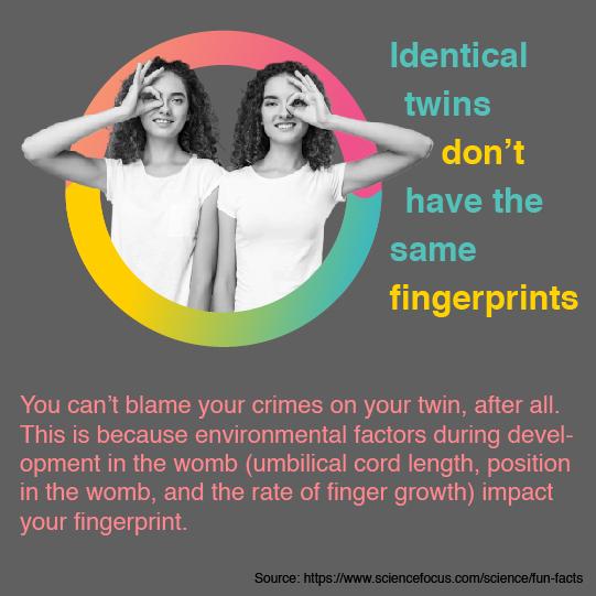 Infographic Design - image 1 - student project
