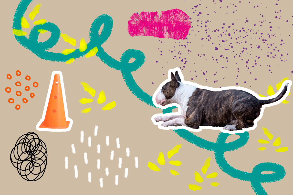 Thank you for the course, I loved it! - image 1 - student project