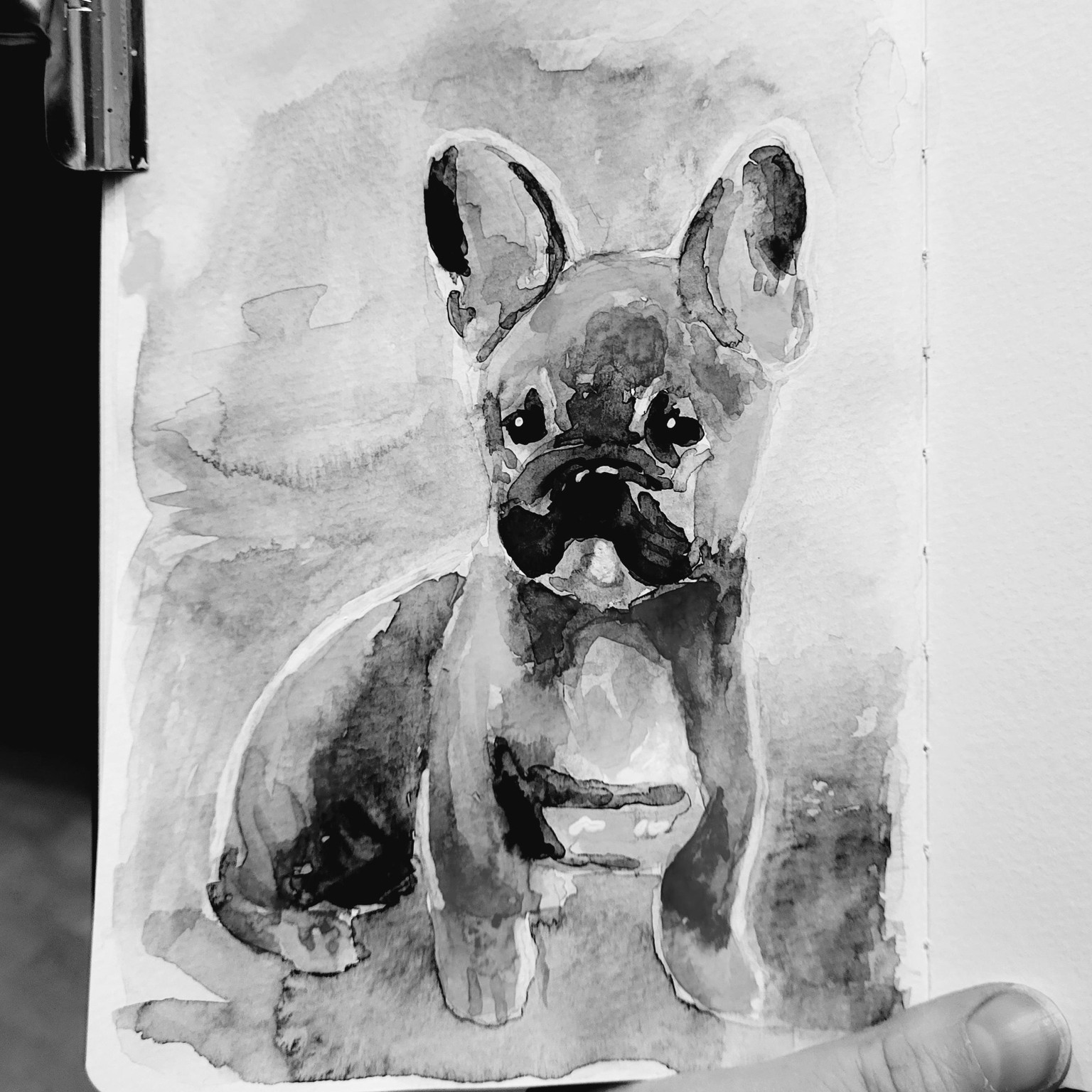 French Bulldog in fantasy colors - image 3 - student project
