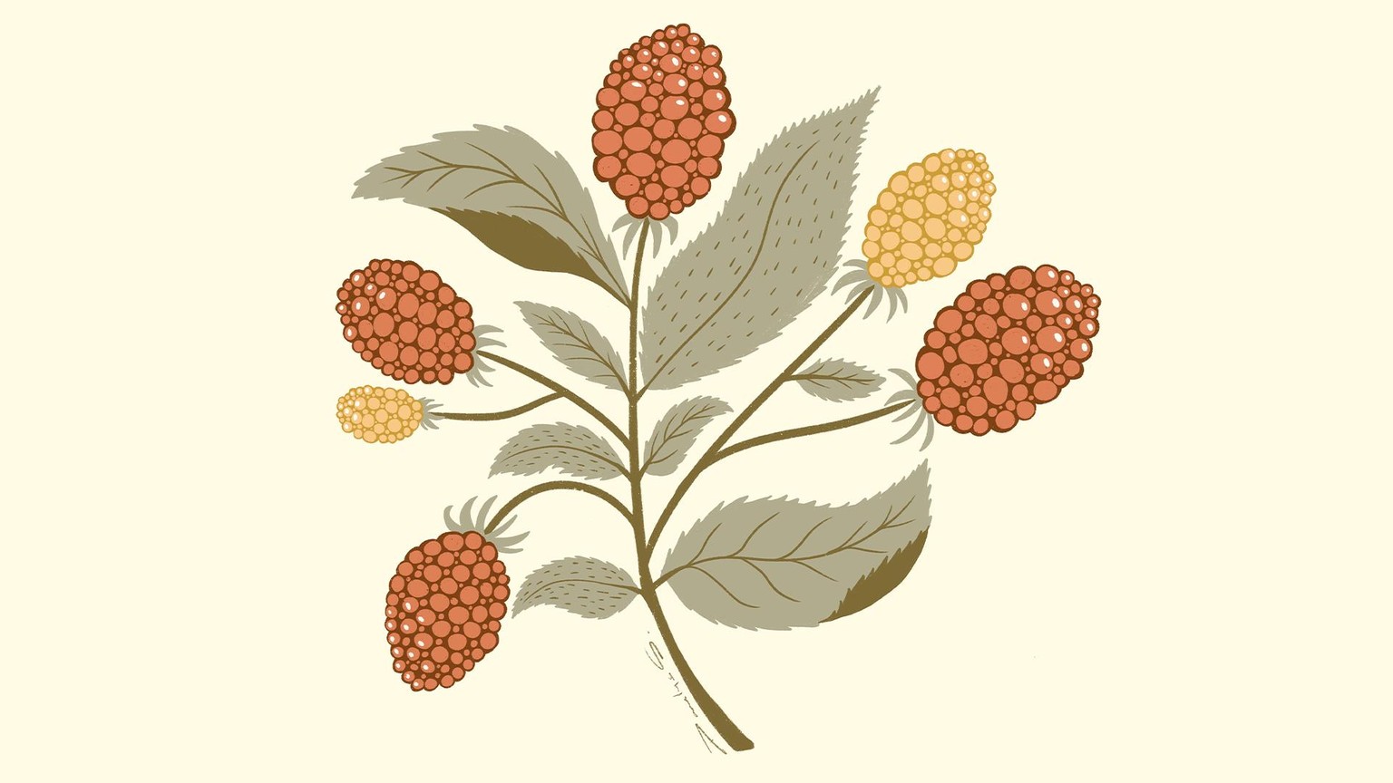 Frutas - image 4 - student project