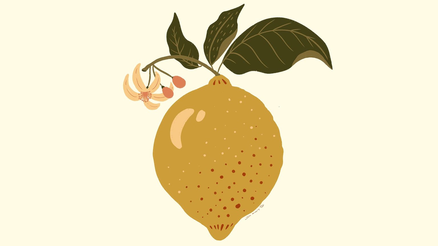 Frutas - image 2 - student project
