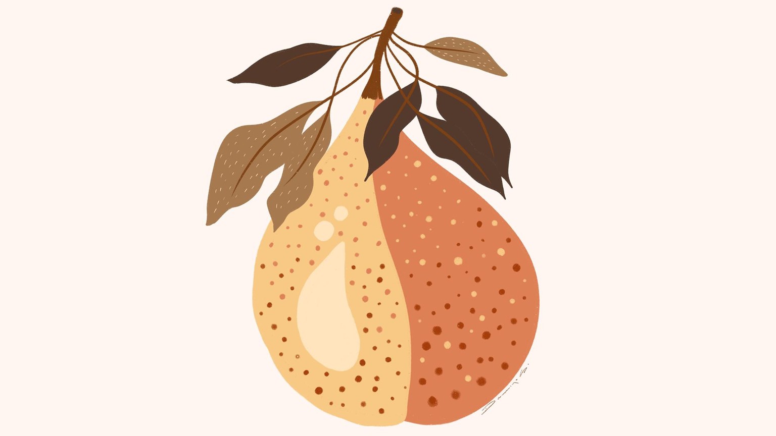 Frutas - image 1 - student project