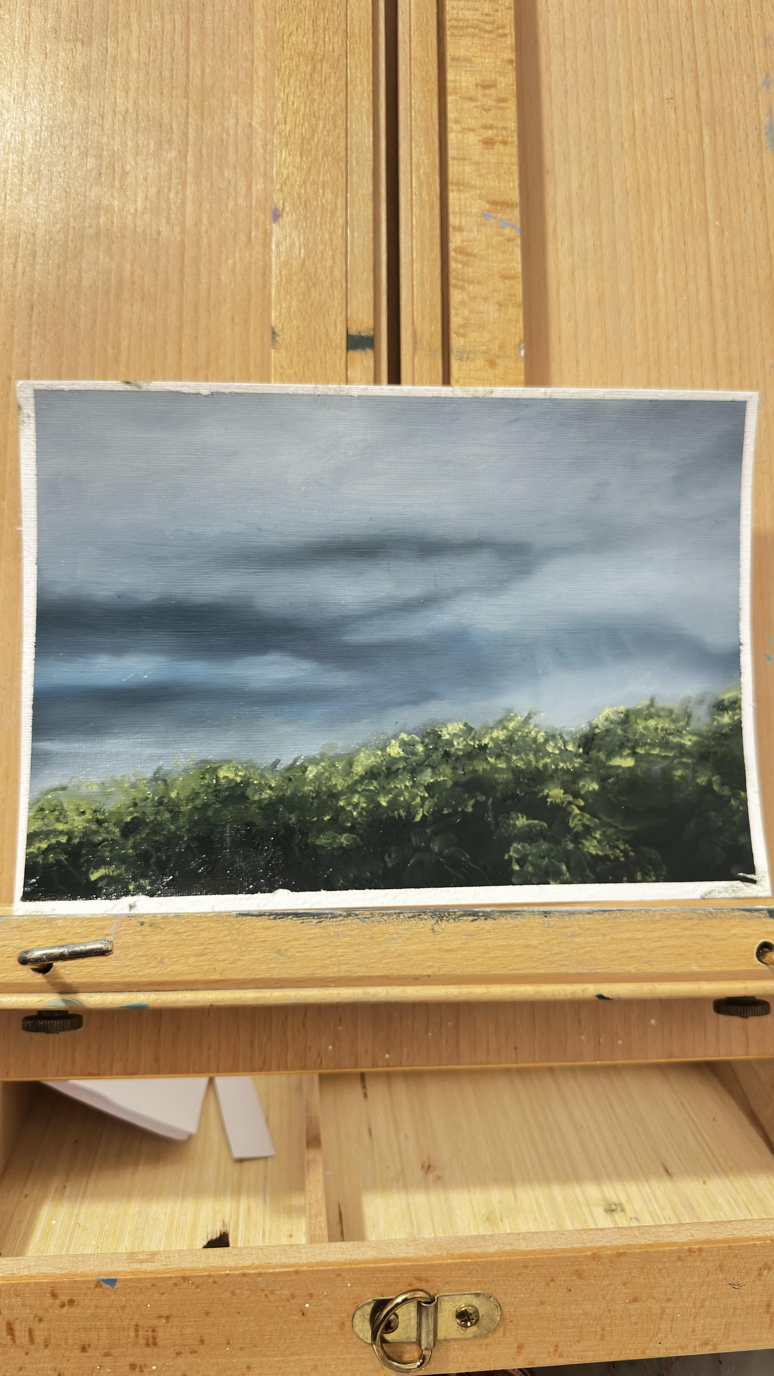 Oil Painting Nature:oceanscape, treetop, swooping clouds - image 1 - student project