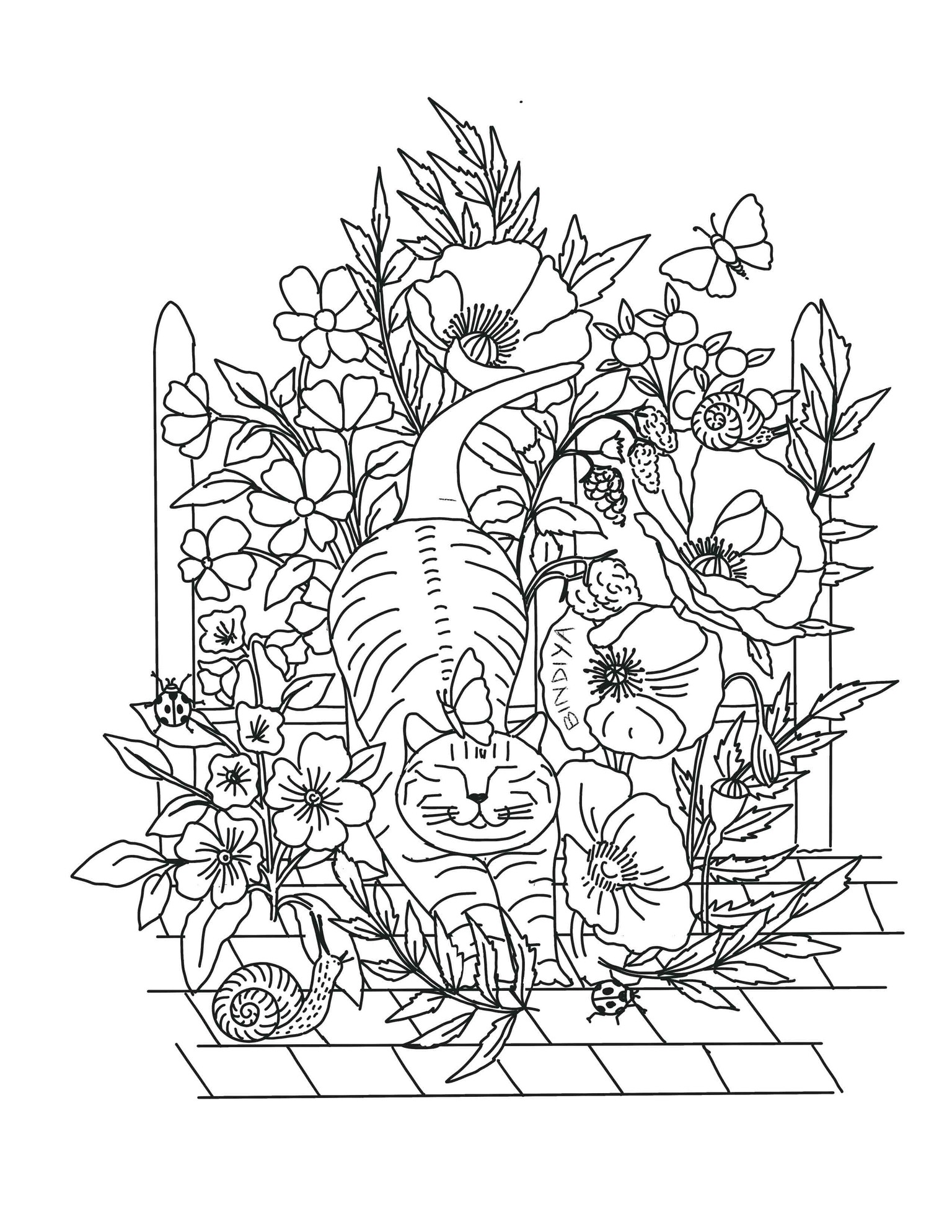 Process images and Final Project - image 4 - student project