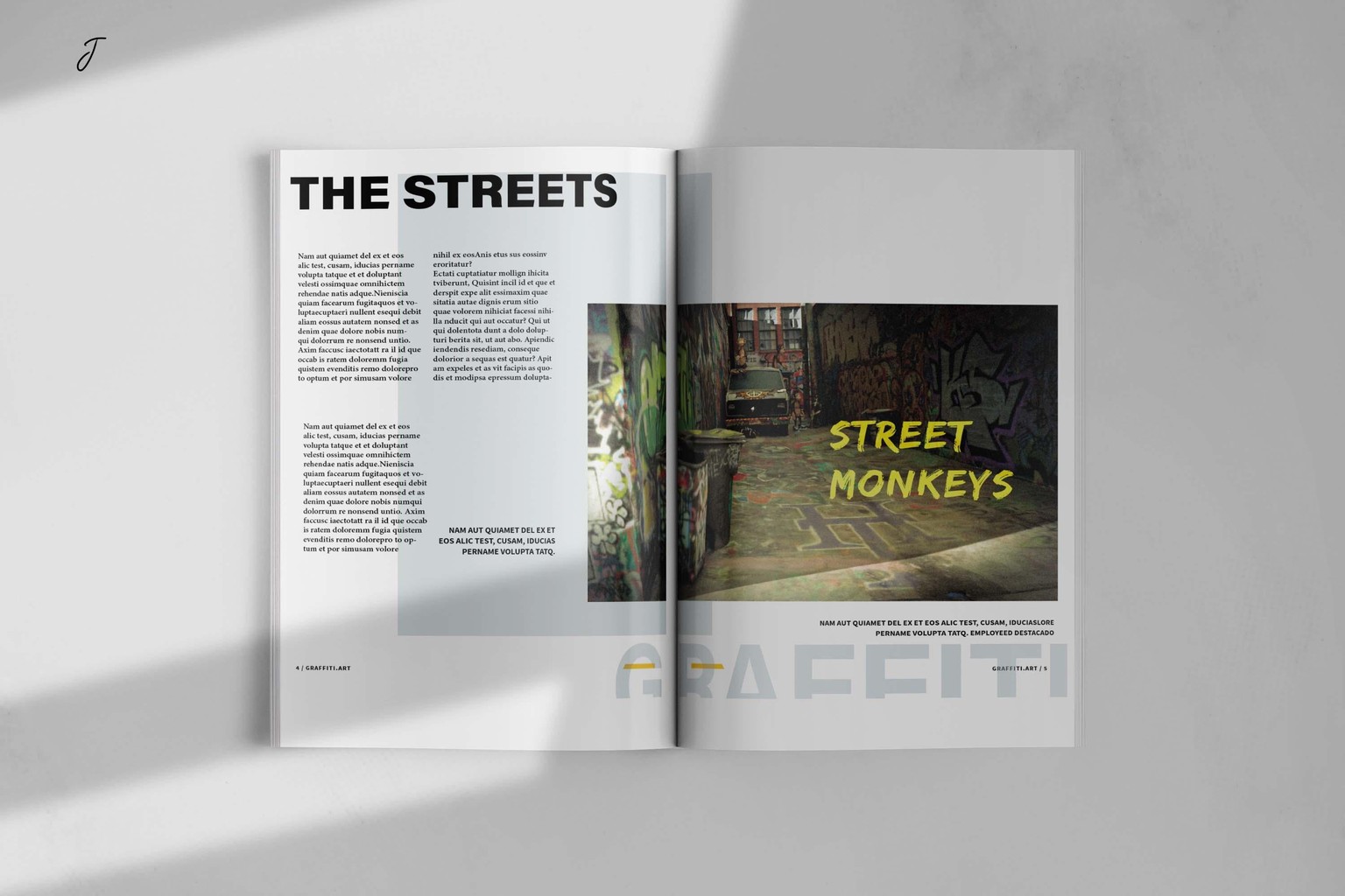 Street-Monkeys A Graffiti driven Magazine - image 2 - student project