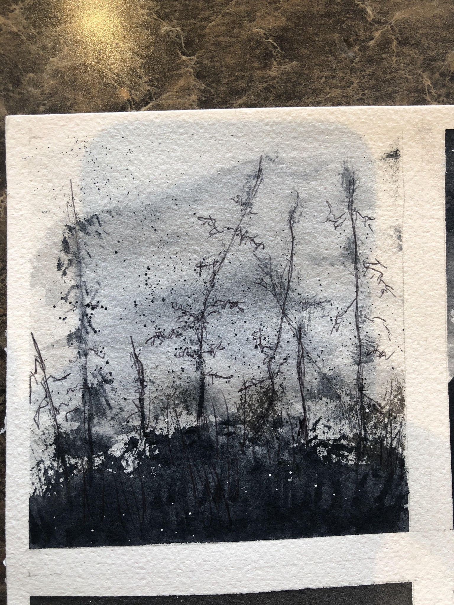 6 B & W Water Color - image 1 - student project