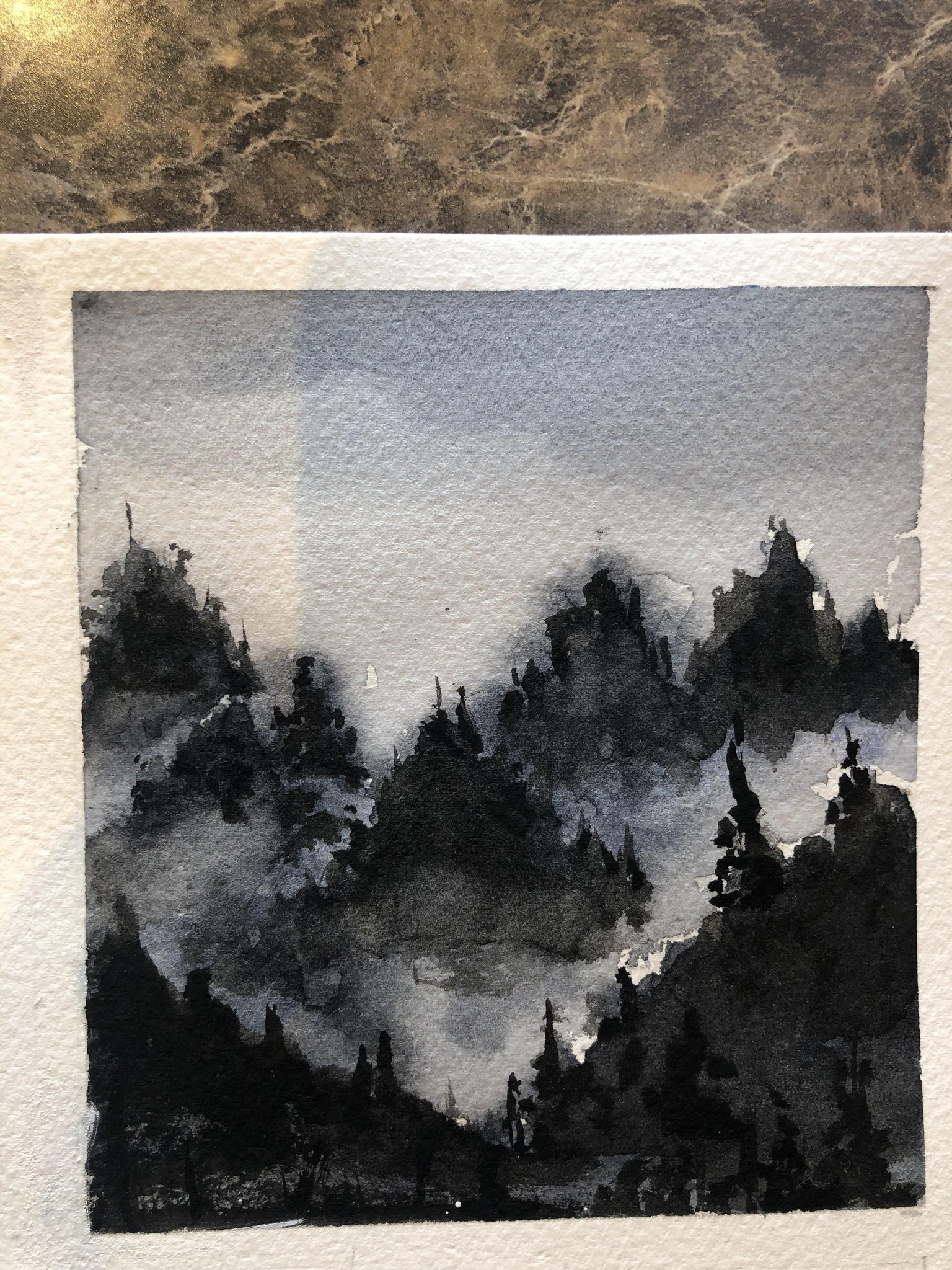 6 B & W Water Color - image 3 - student project