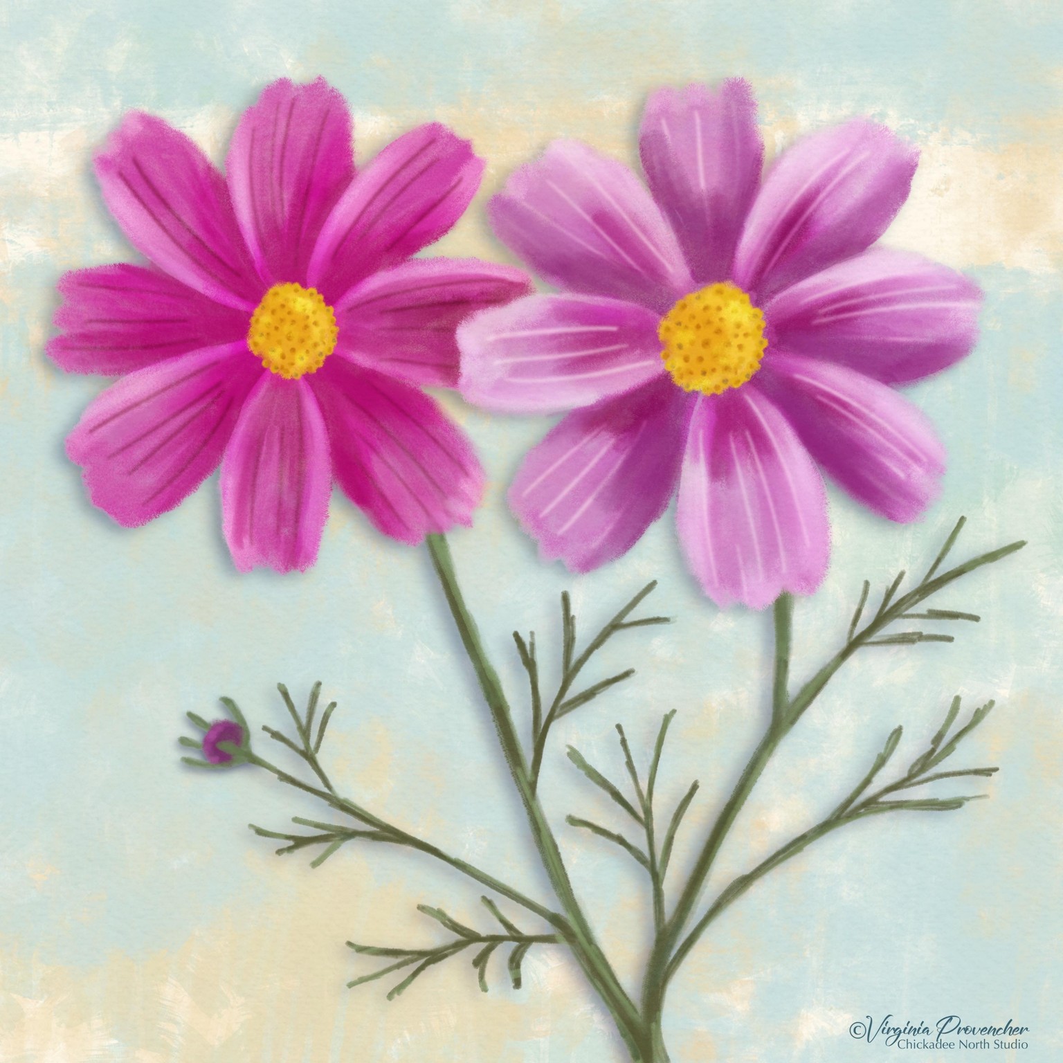 Drawing and Painting the Cosmos Flower - image 1 - student project