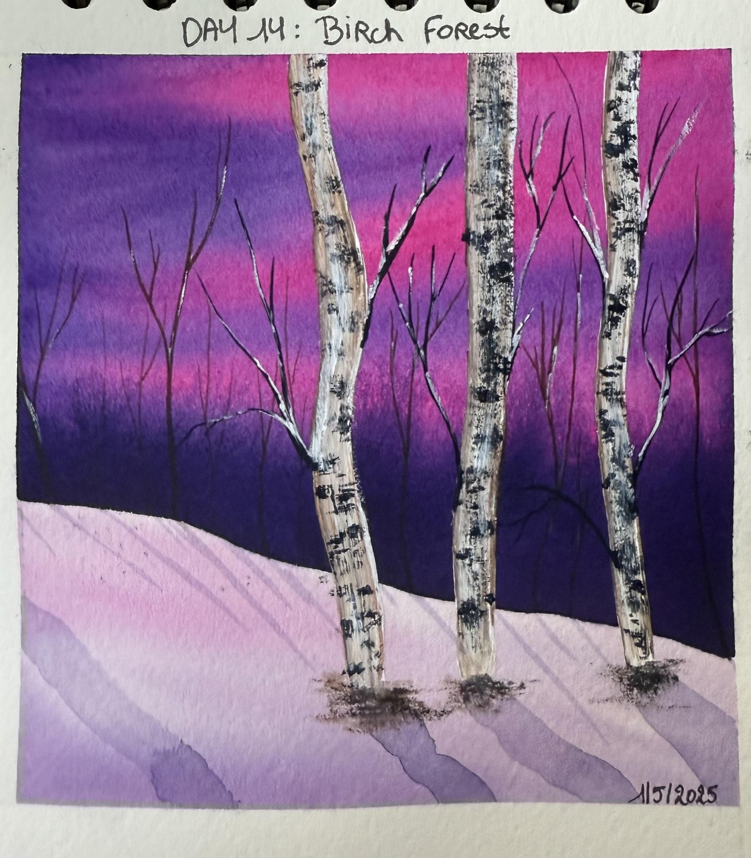 Winter landscapes - 30 days challenge - image 14 - student project