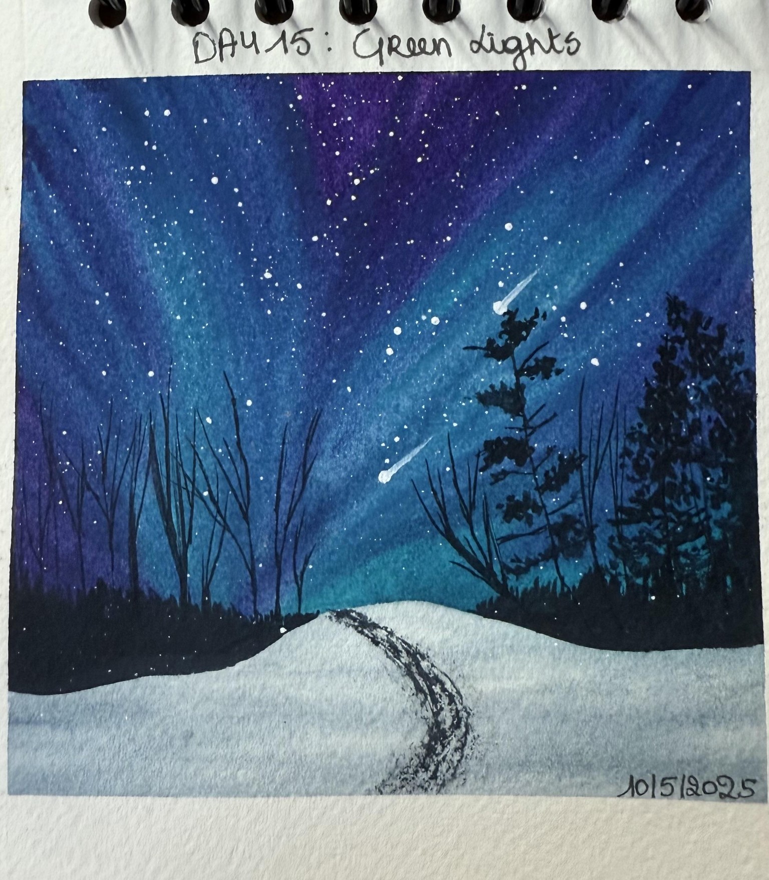 Winter landscapes - 30 days challenge - image 15 - student project
