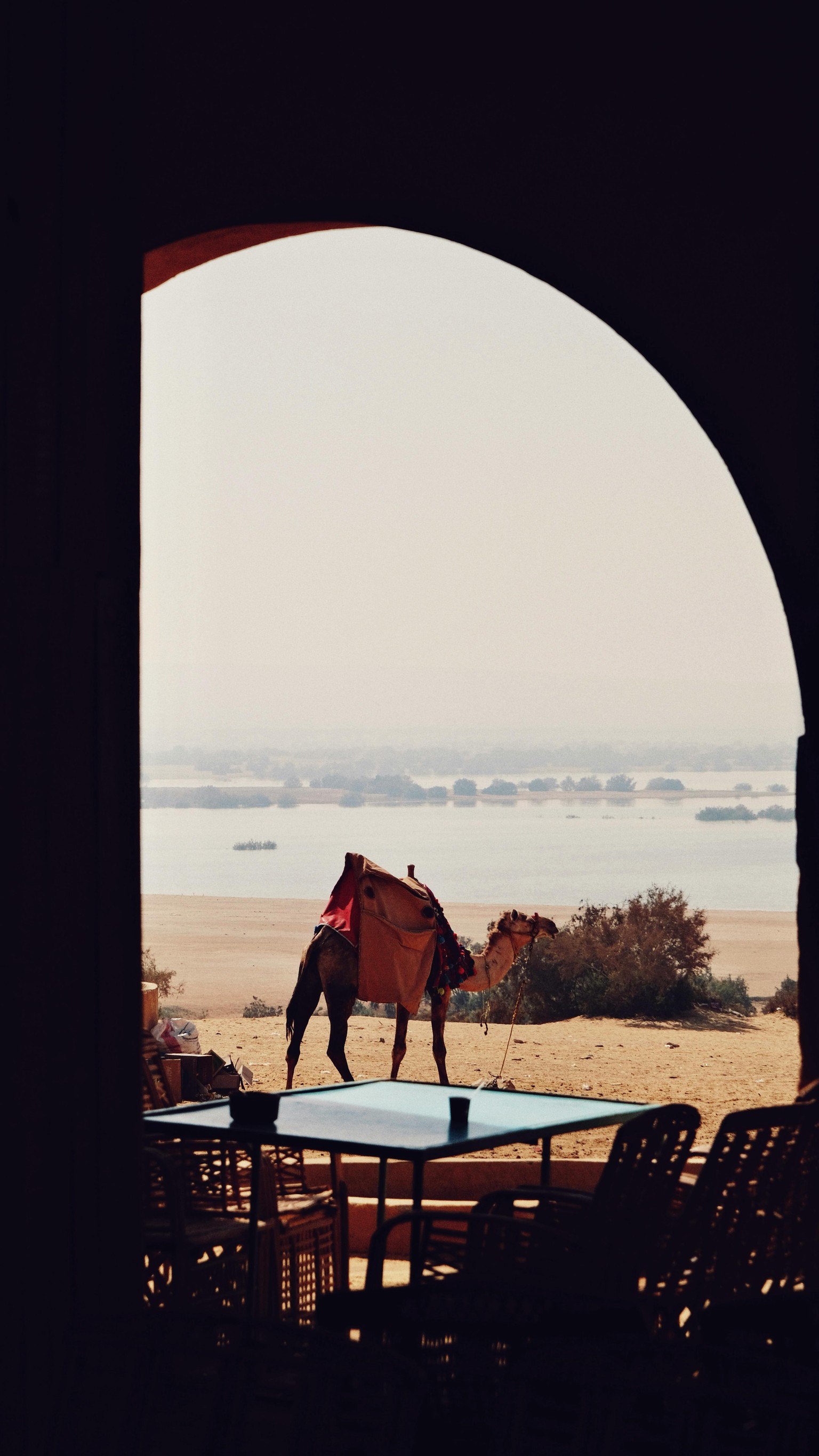 Camel Oasis Before & After - image 2 - student project