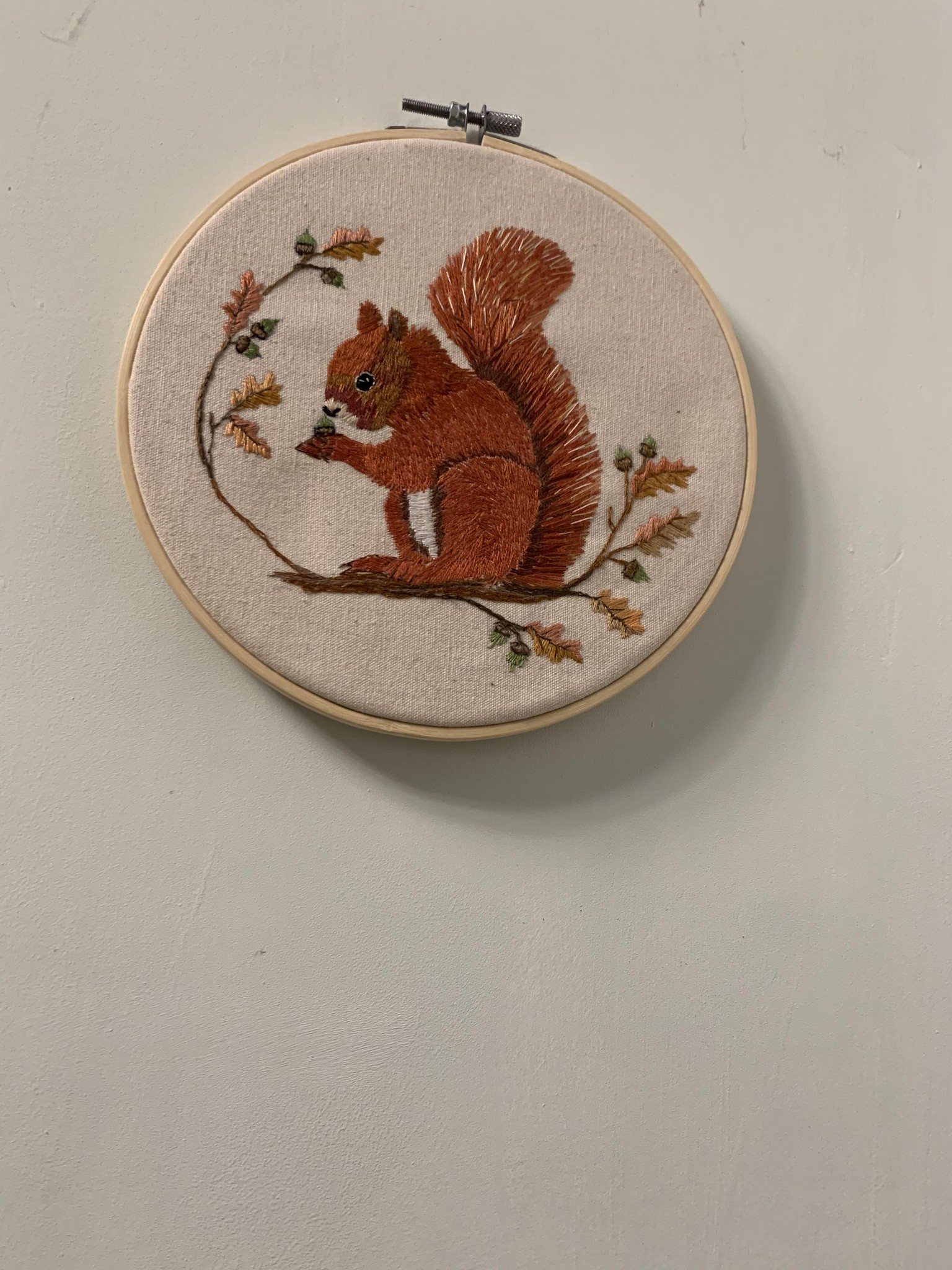 Hedgehog and squirrel - image 1 - student project