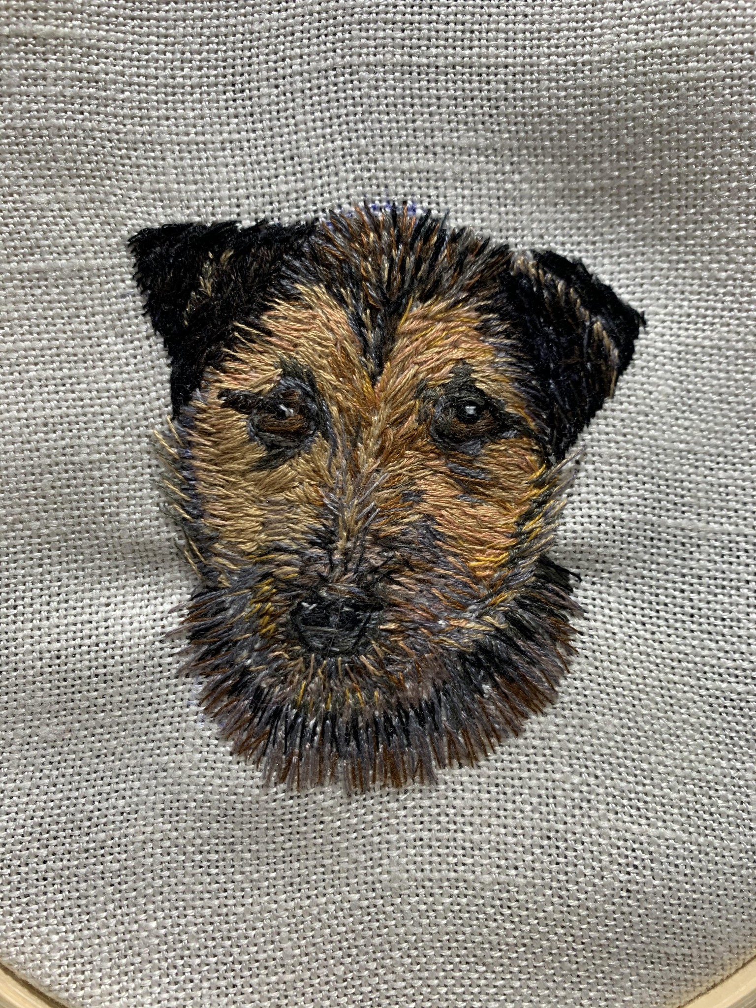My 2 dogs - image 2 - student project